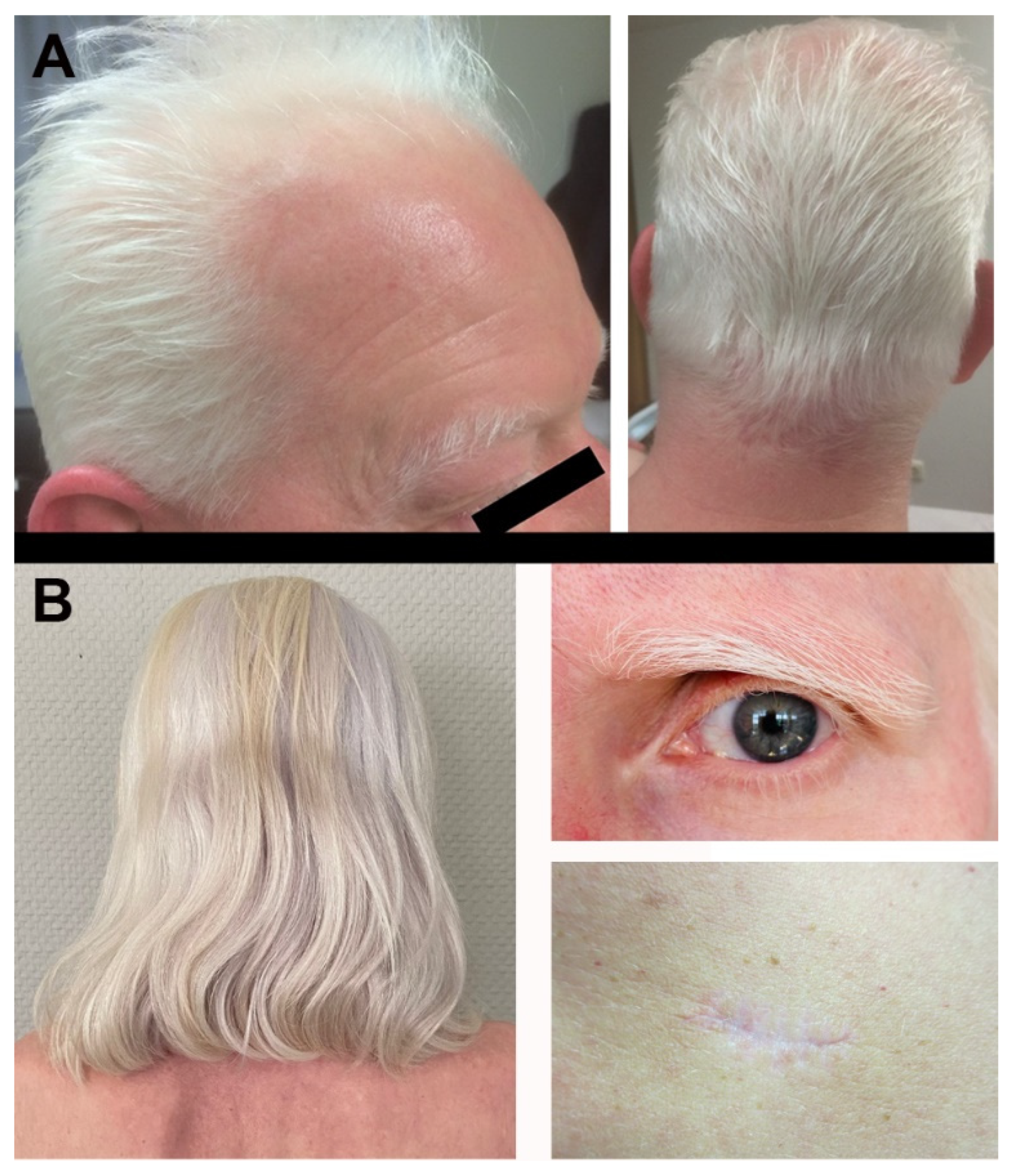 Immuno 02 00020 g004