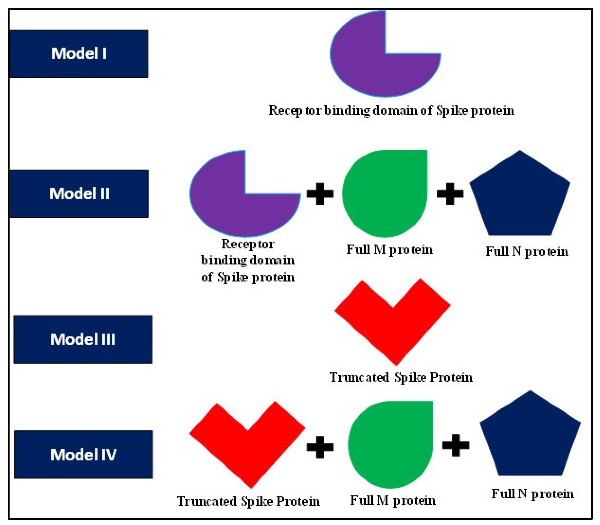 Immuno 02 00022 g004