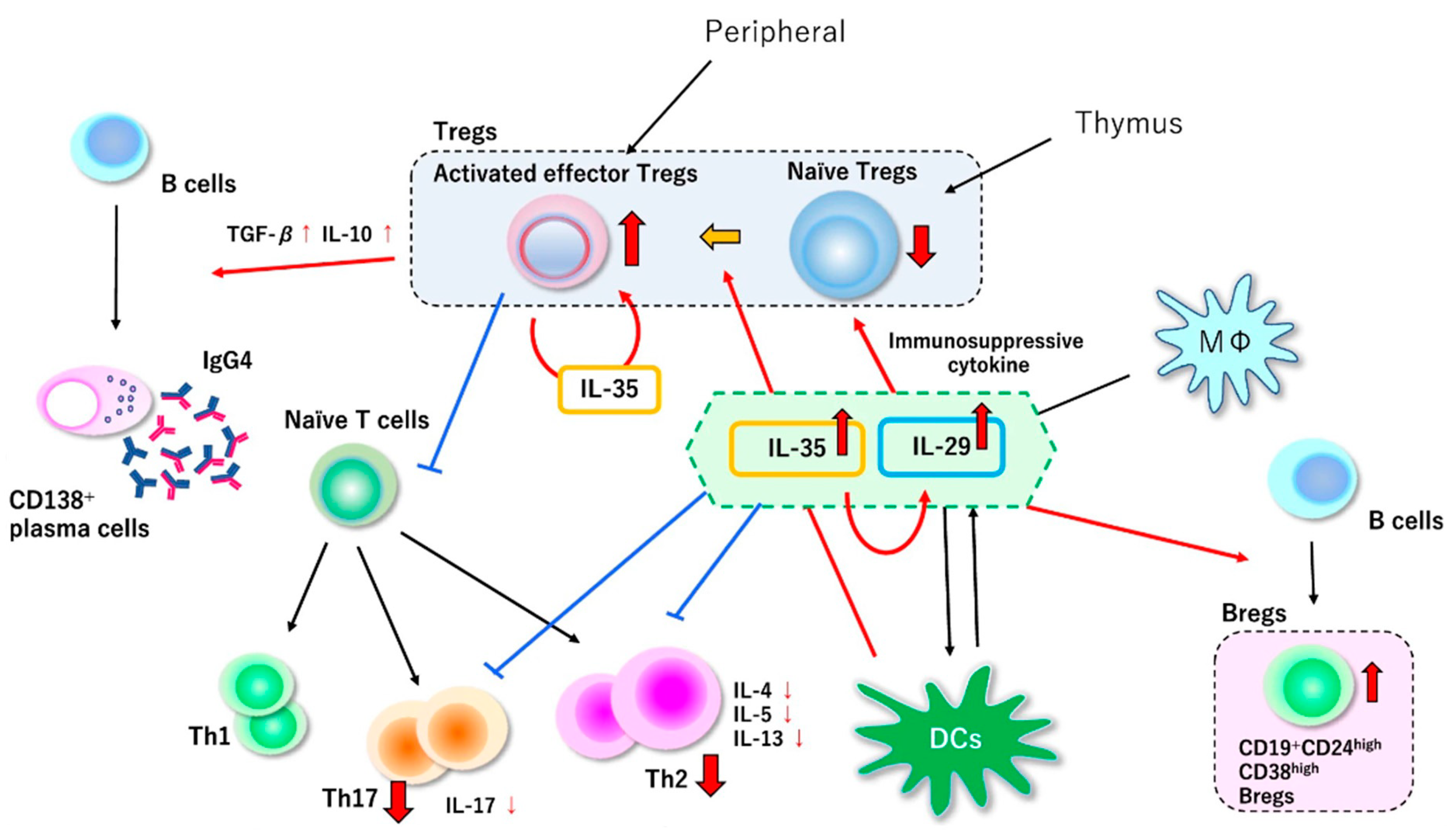 Immuno 02 00026 g002 550