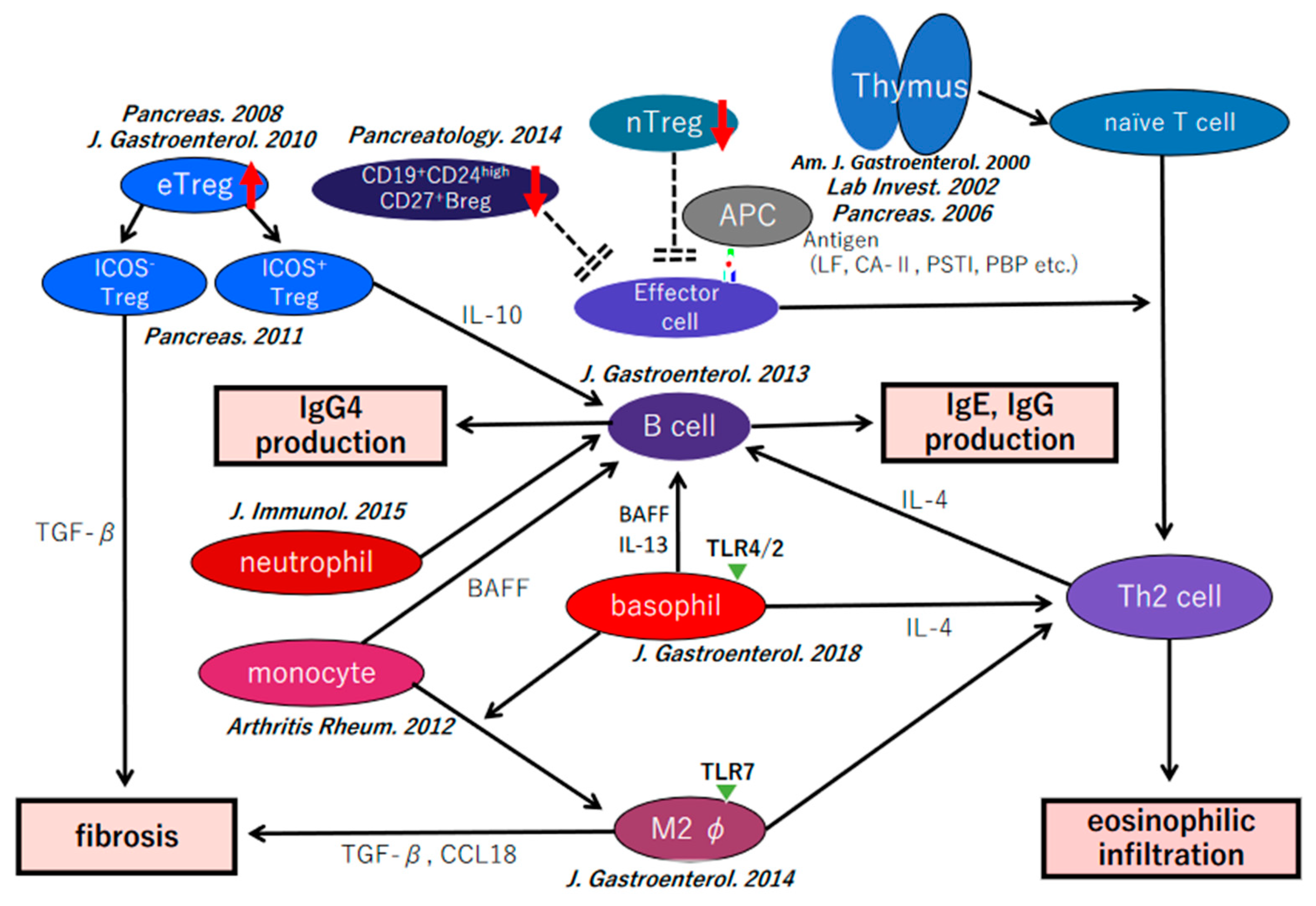 Immuno 02 00026 g003 550