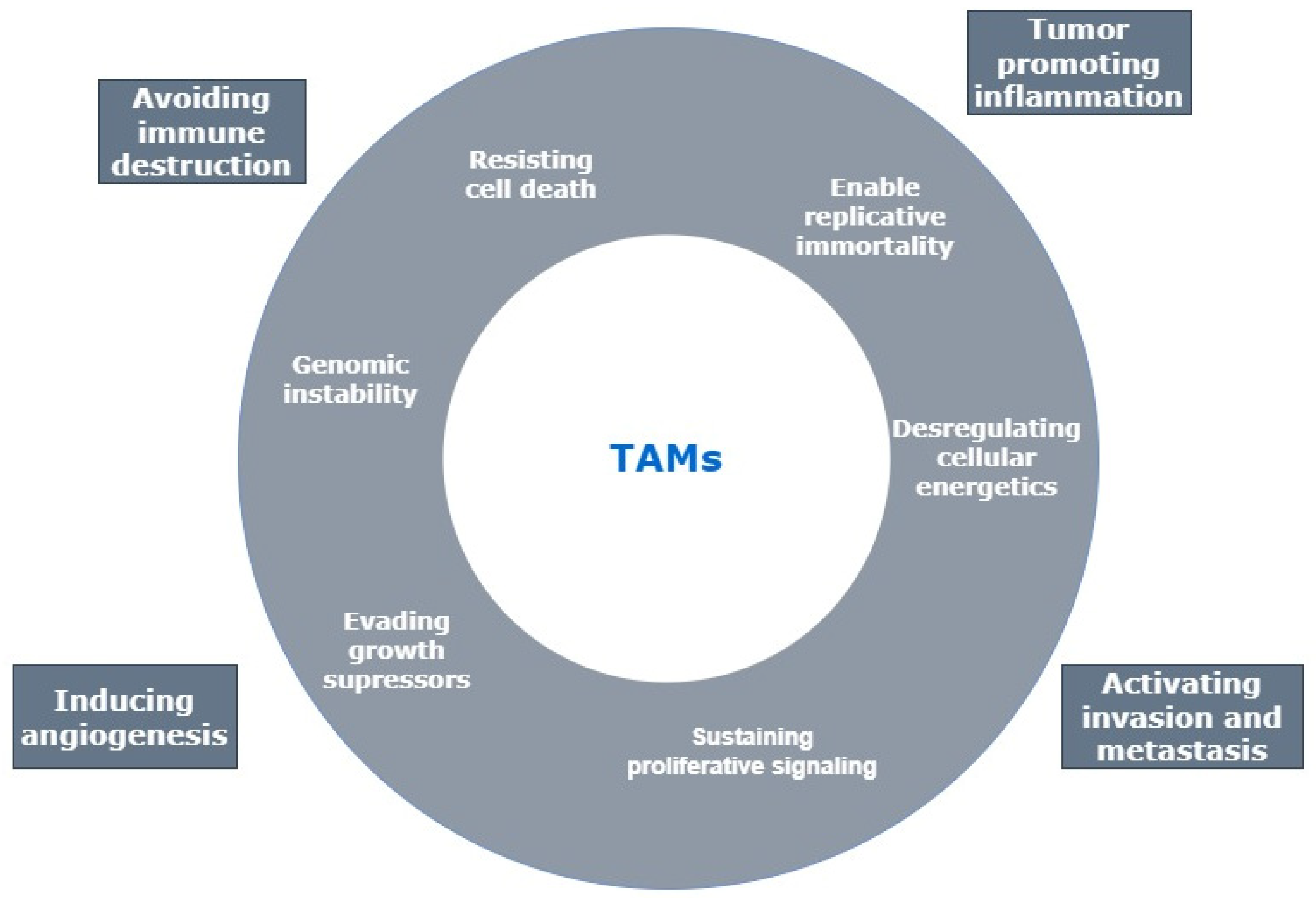 Immuno 02 00028 g002 550