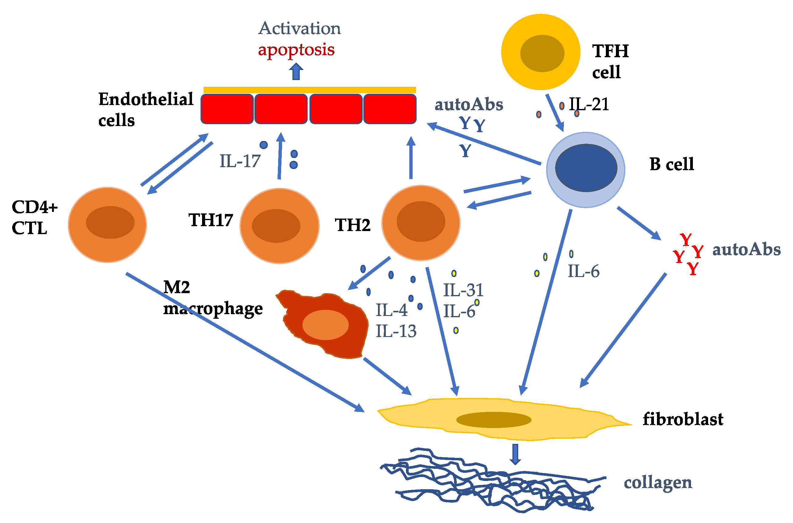 Immuno 02 00034 g001 550