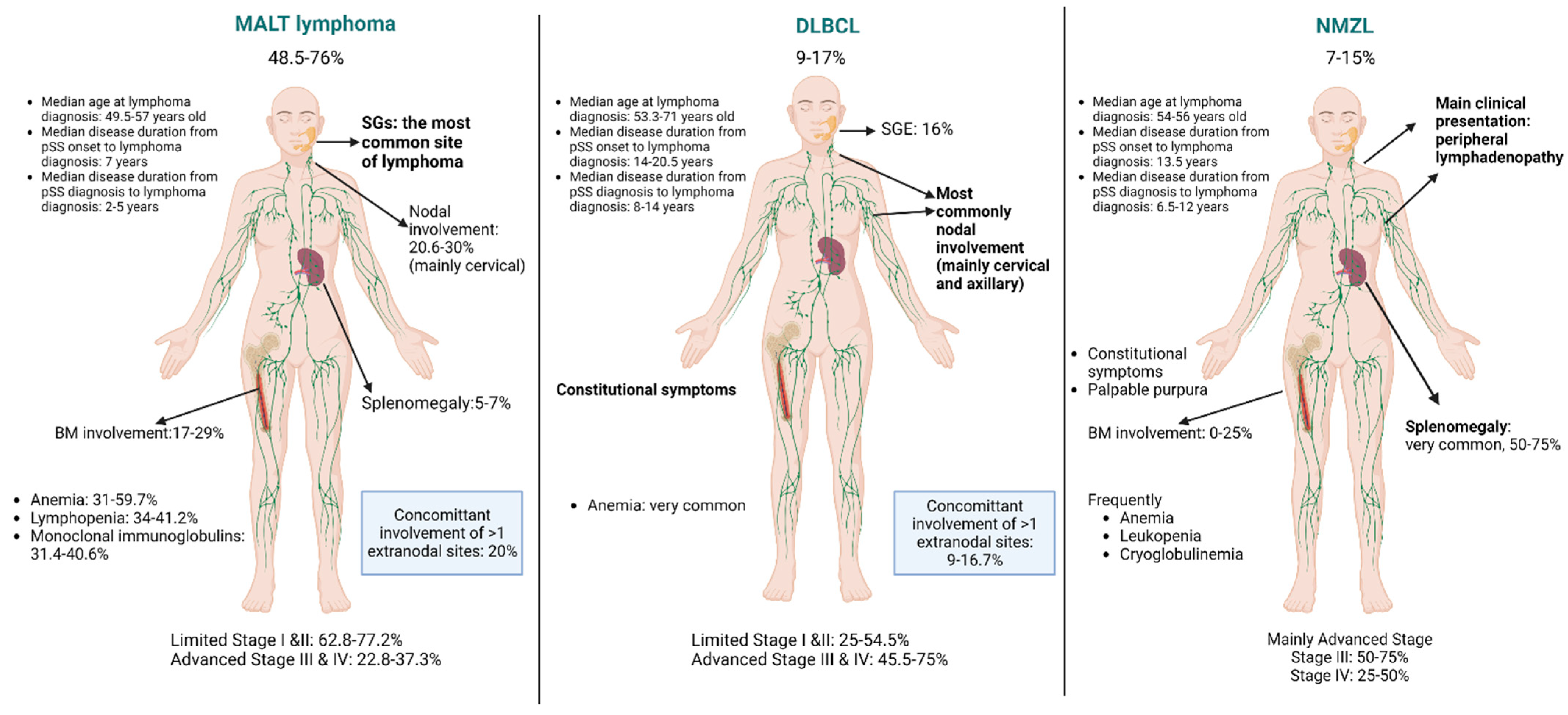 Immuno 02 00037 g003 Immuno 02 00037 g003