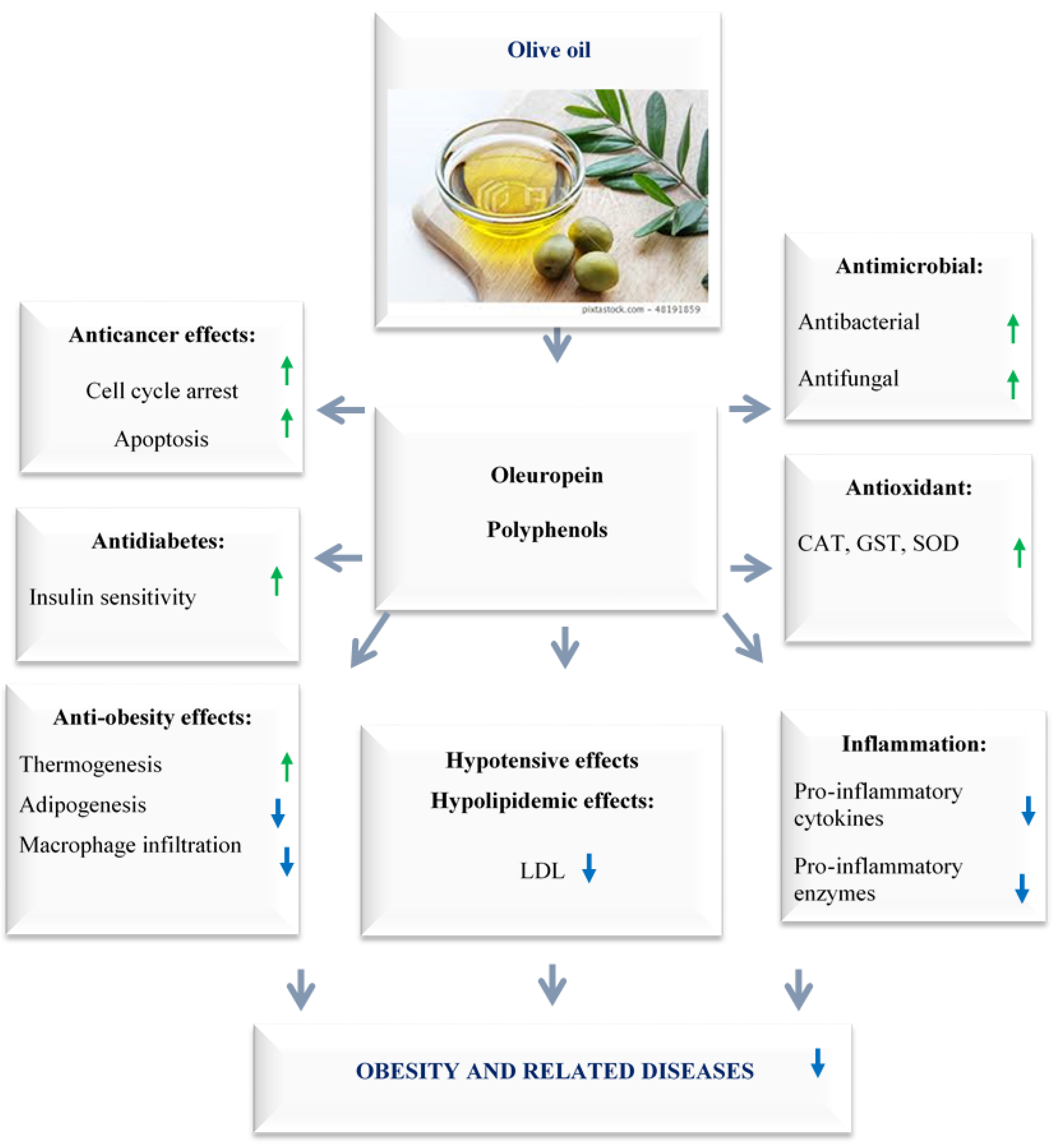 Immuno 02 00038 g006