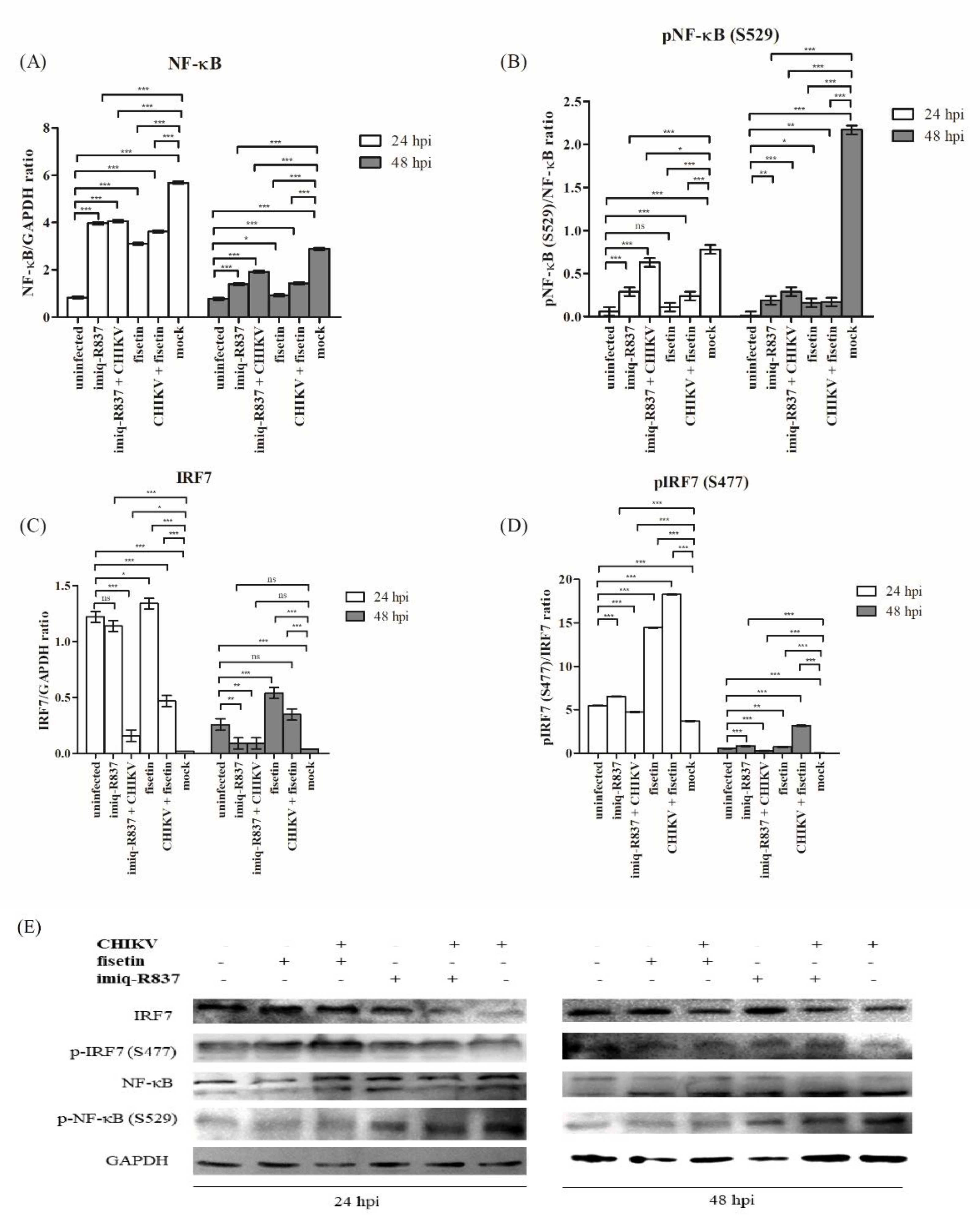 Immuno 02 00043 g007