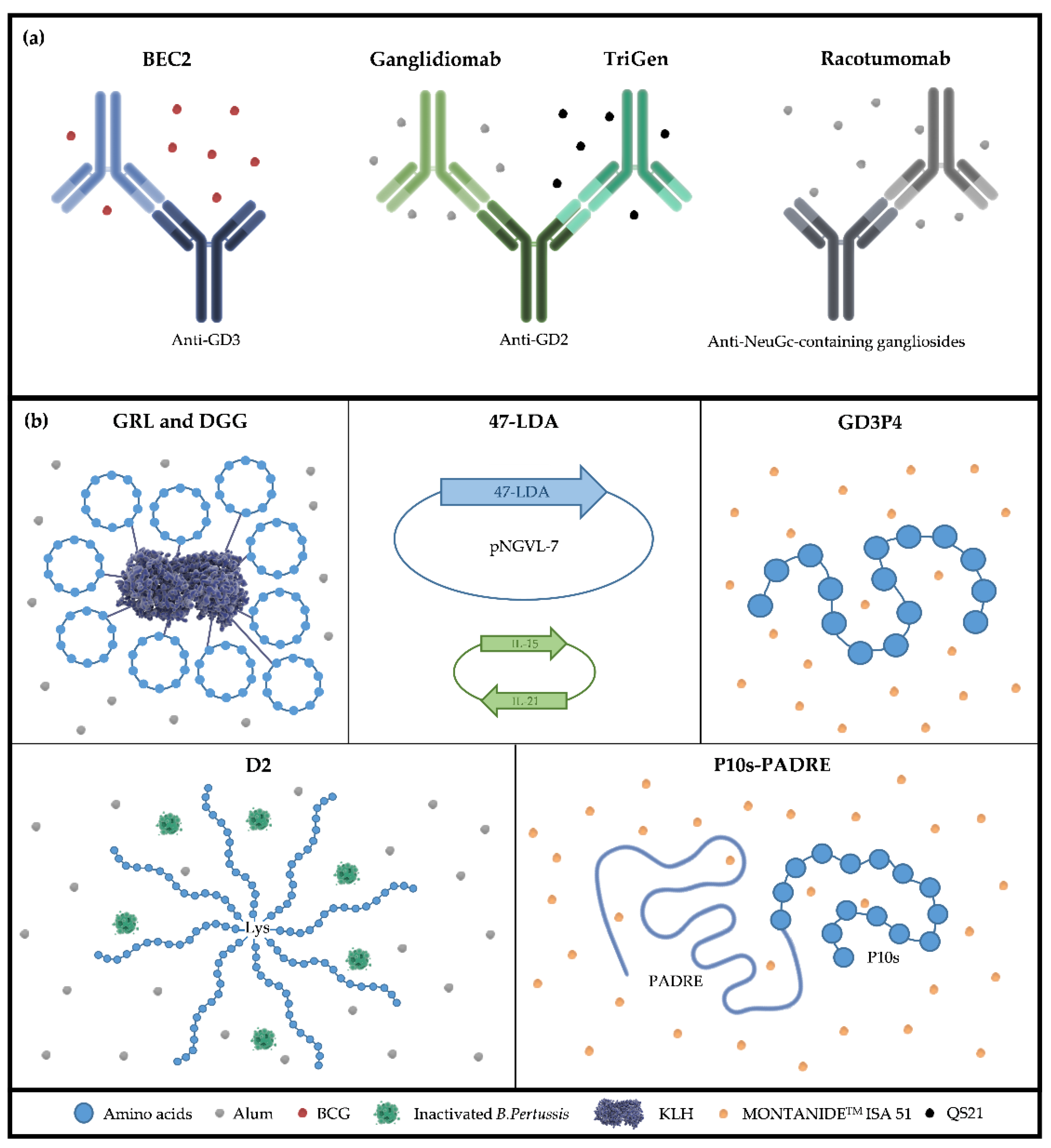 Immuno 03 00009 g003