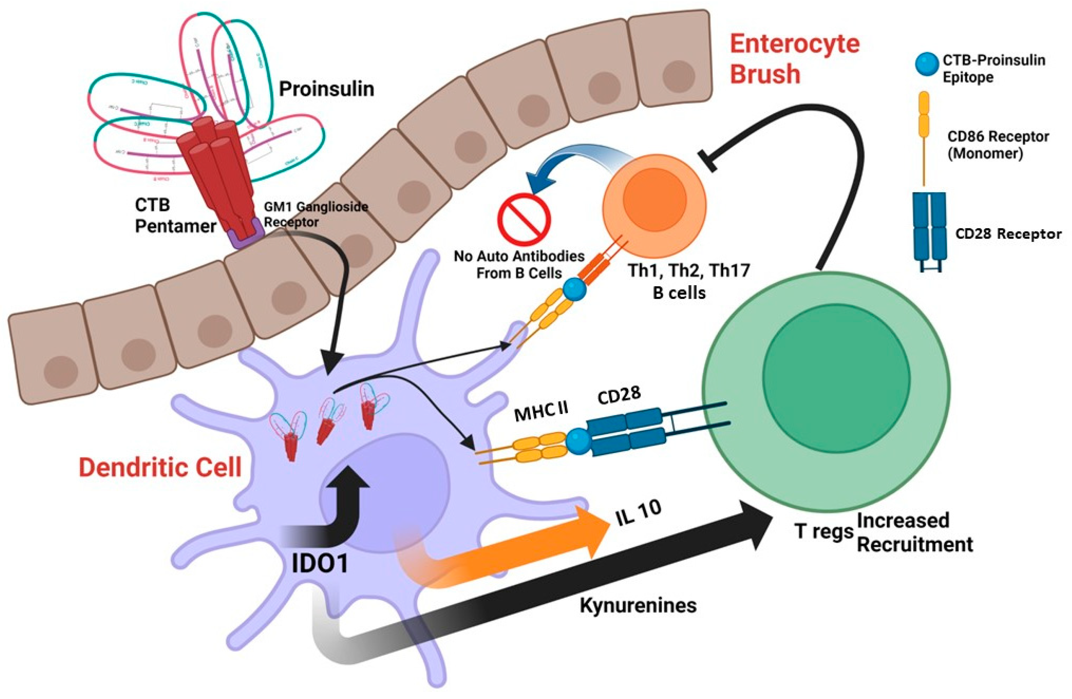 Immuno 03 00014 g001