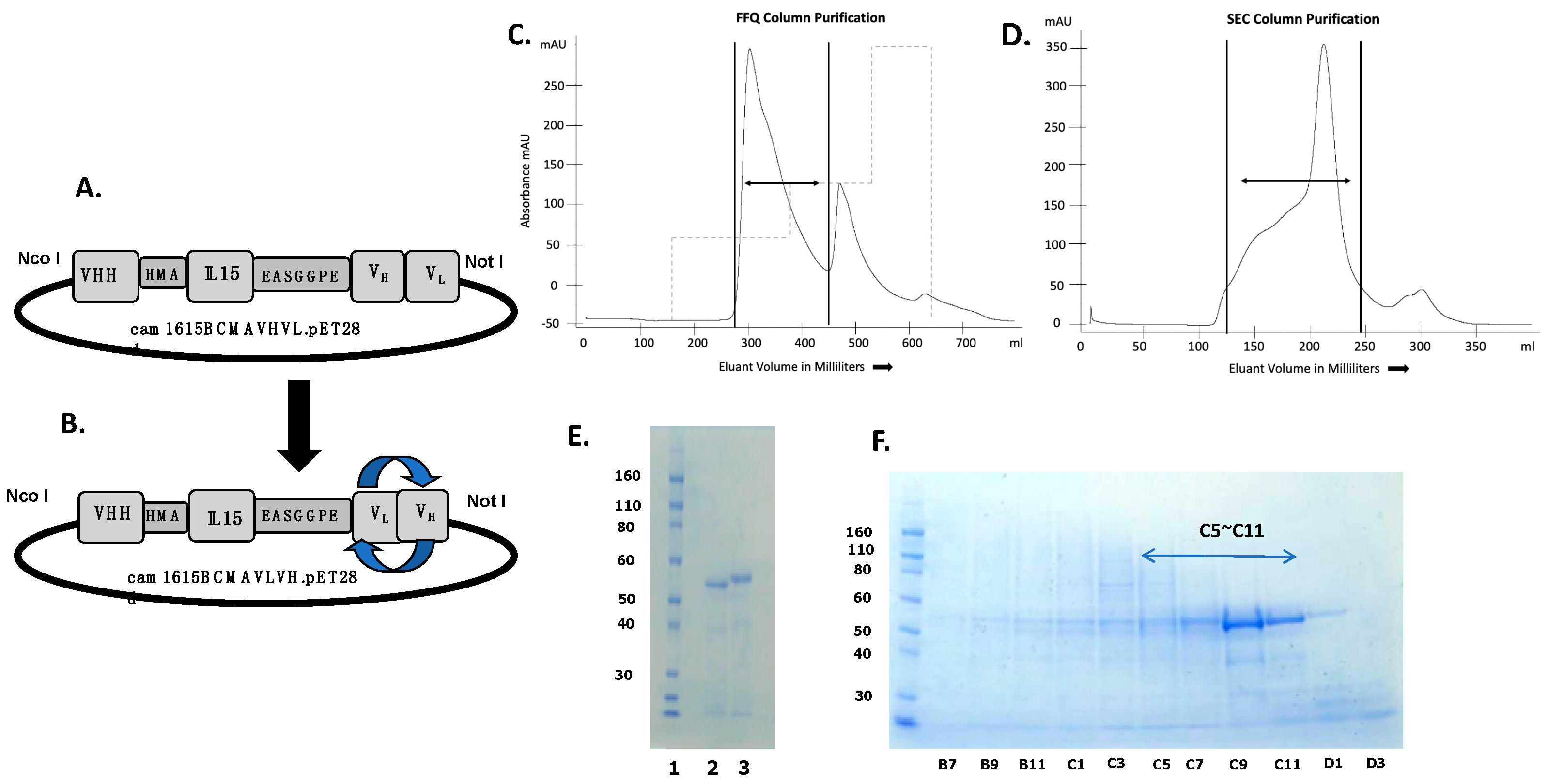 Immuno 03 00016 g001