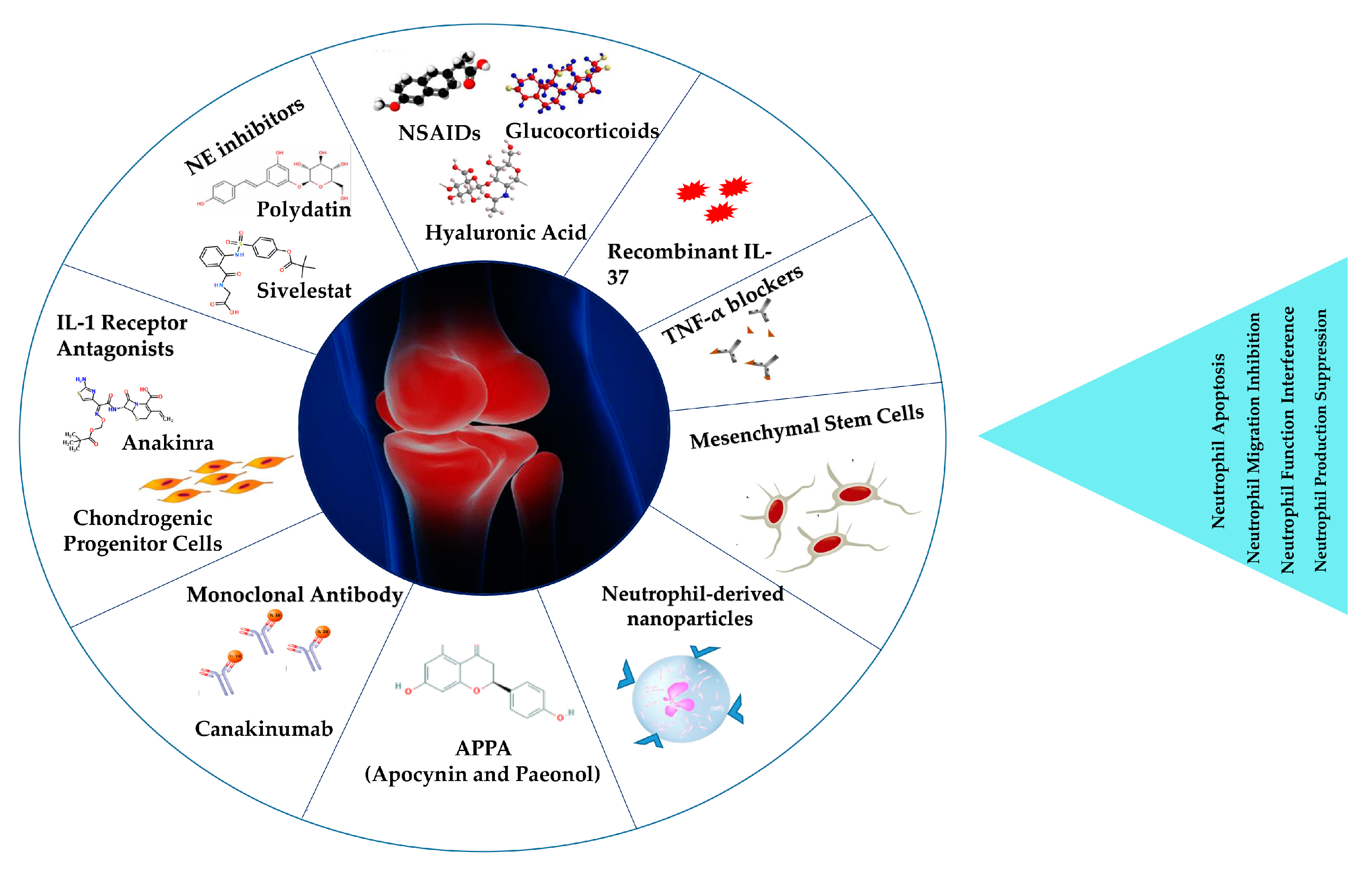 Immuno 03 00017 g003