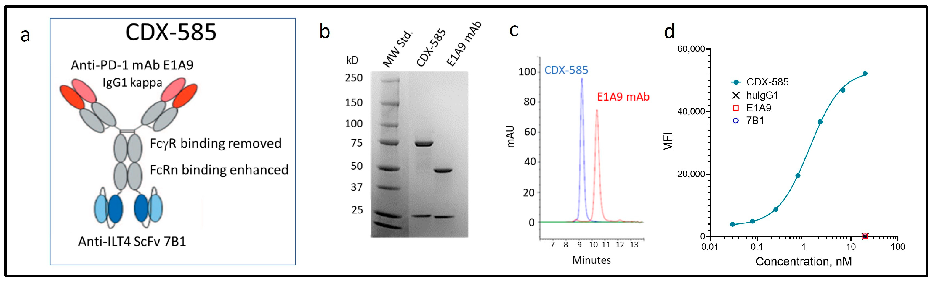 Immuno 03 00018 g002 Immuno 03 00018 g002