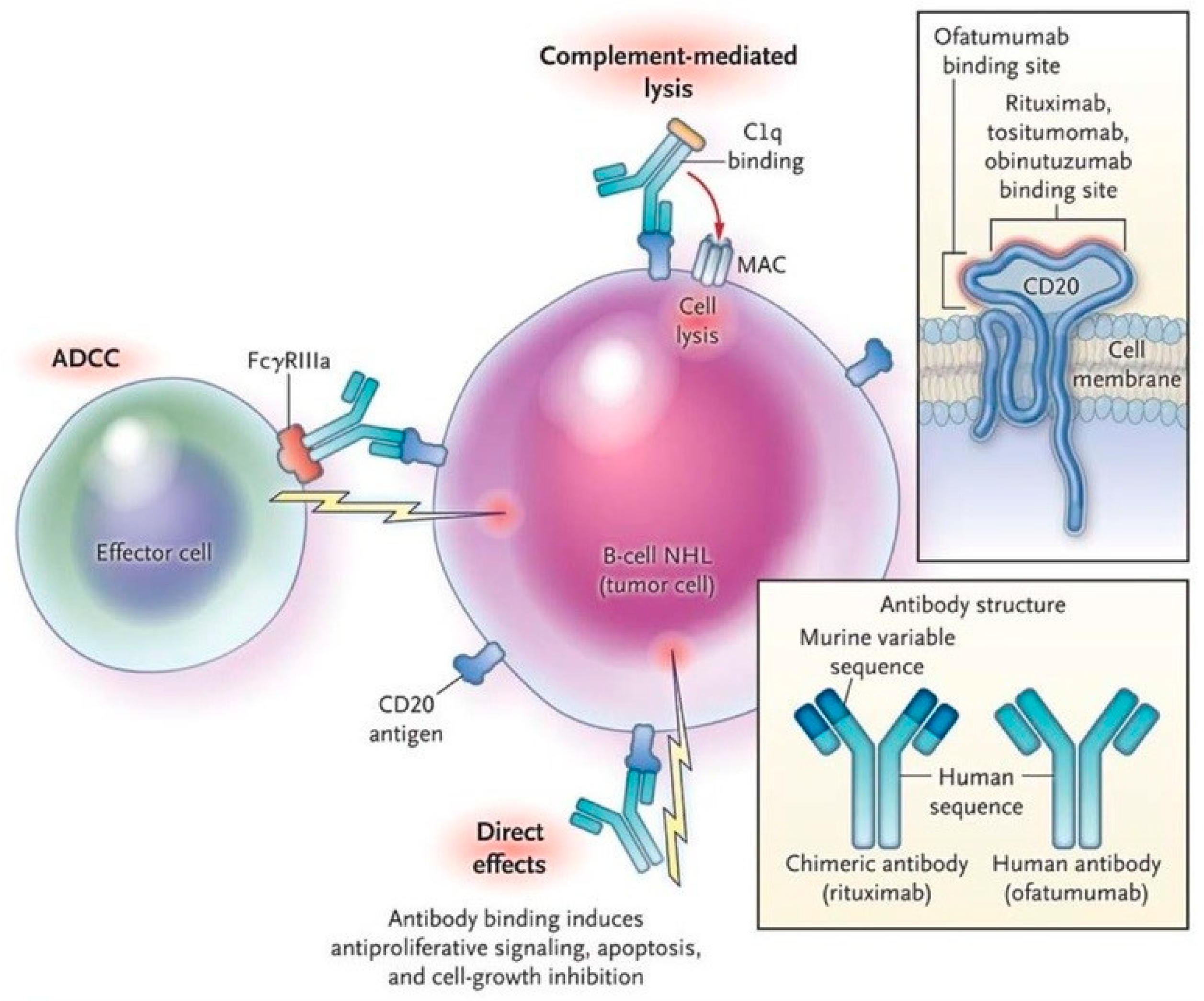 Immuno 03 00021 g002
