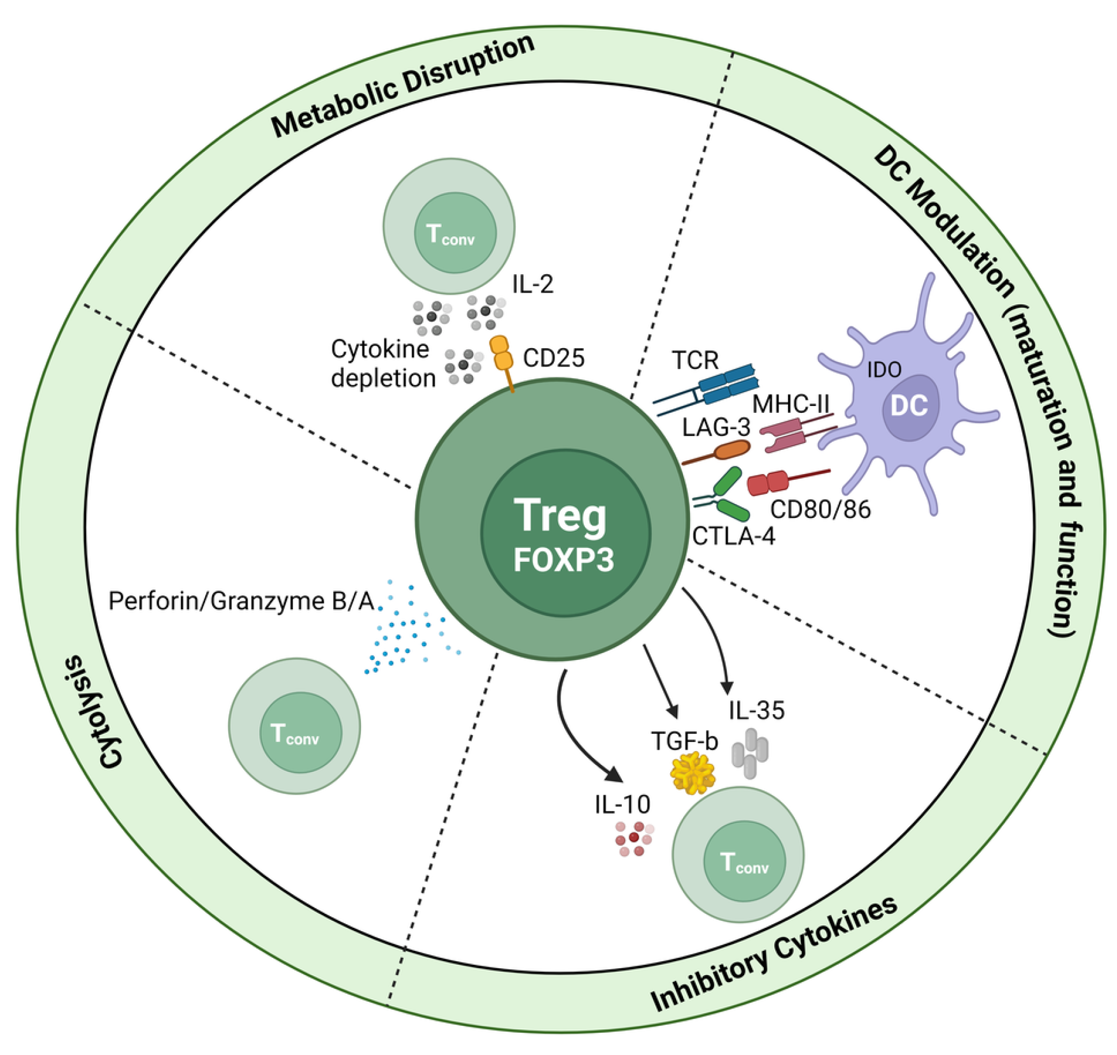 Immuno 03 00023 g004 Immuno 03 00023 g004
