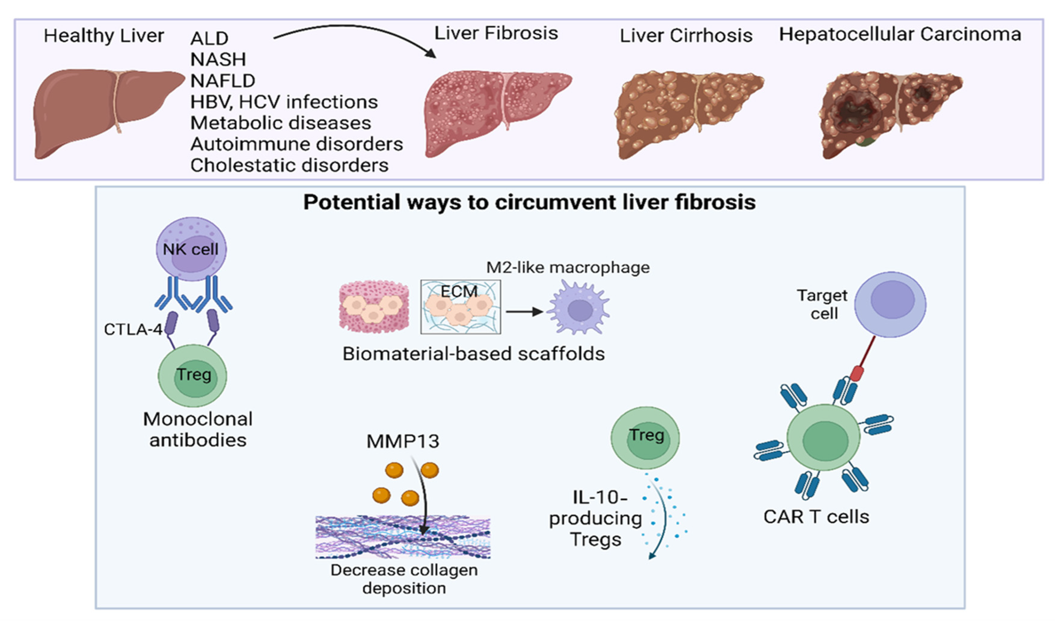 Immuno 03 00023 g007 Immuno 03 00023 g007