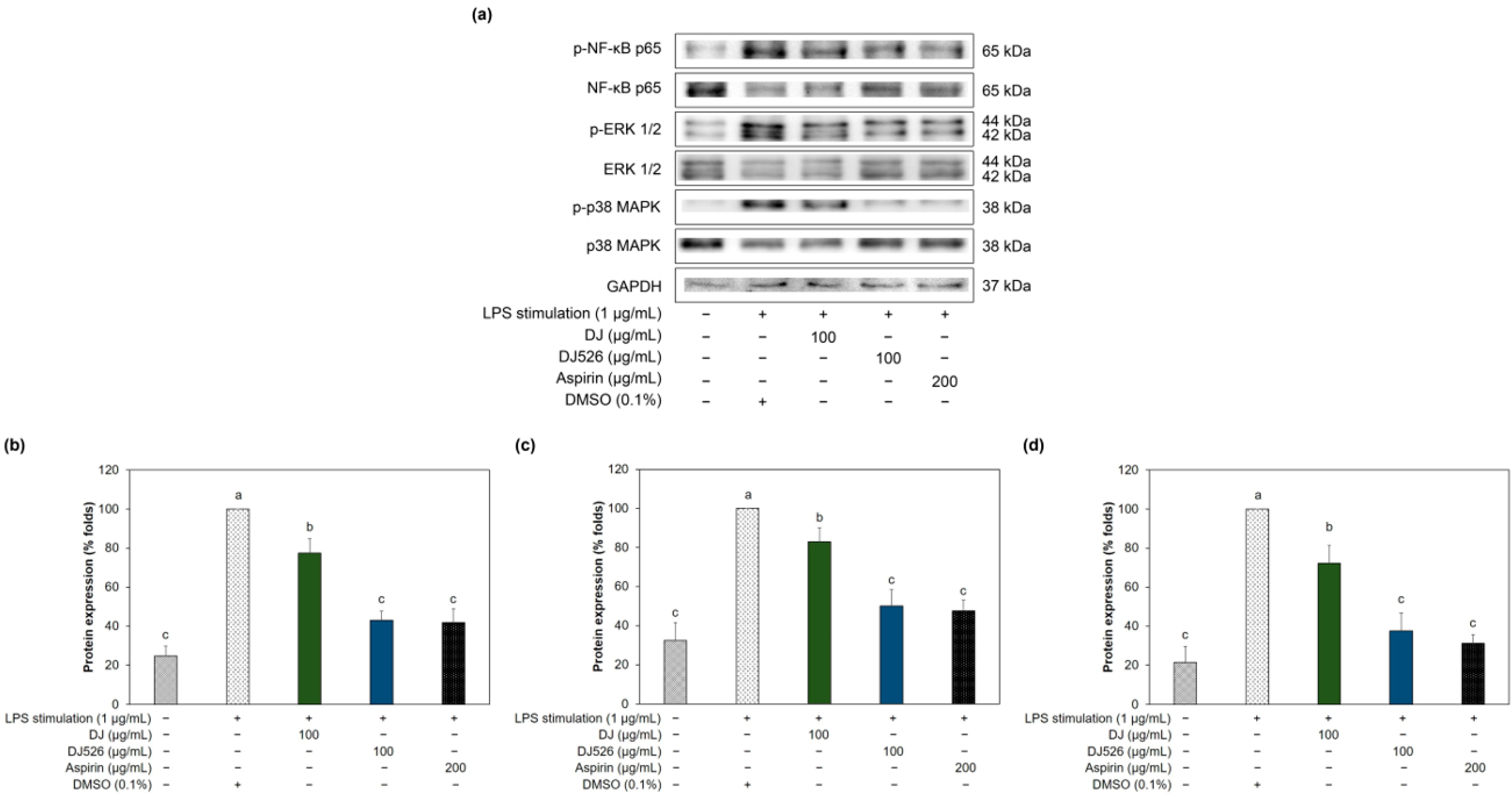 Immuno 04 00009 g006