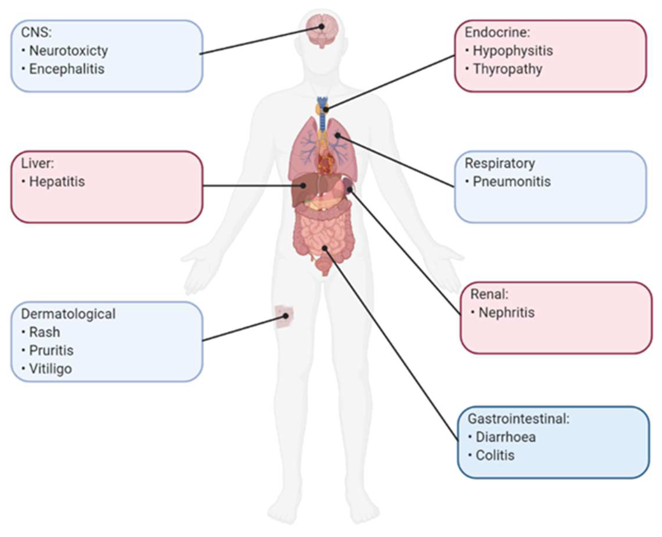 Immuno 04 00013 g005
