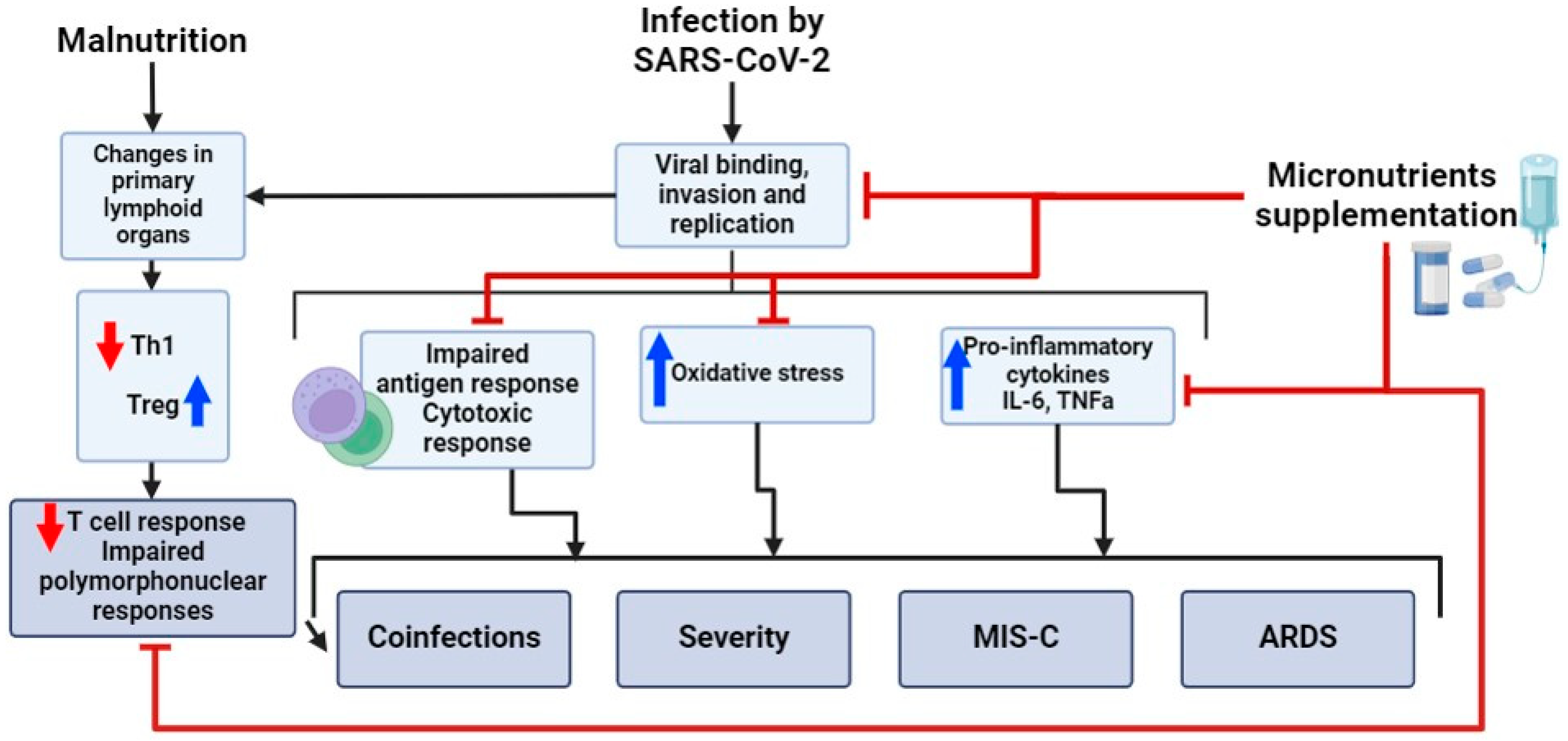Immuno 04 00014 g004