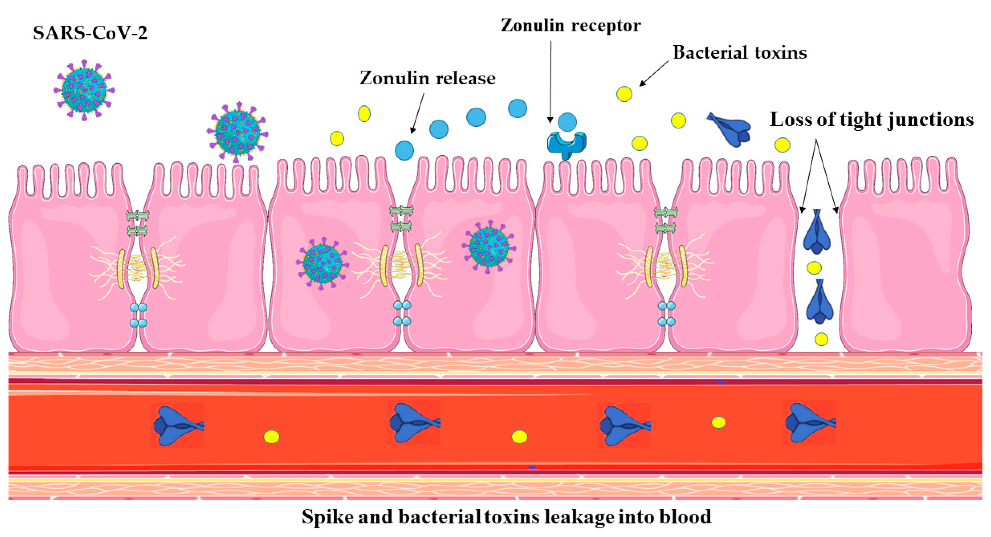 Immuno 04 00015 g001