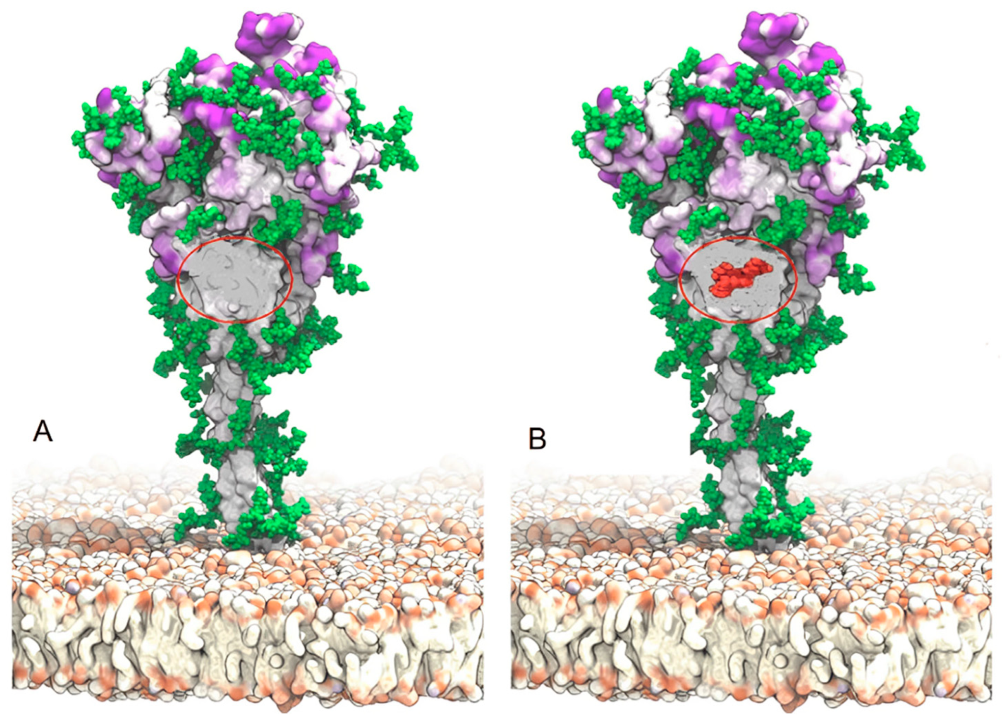 Immuno 04 00015 g003