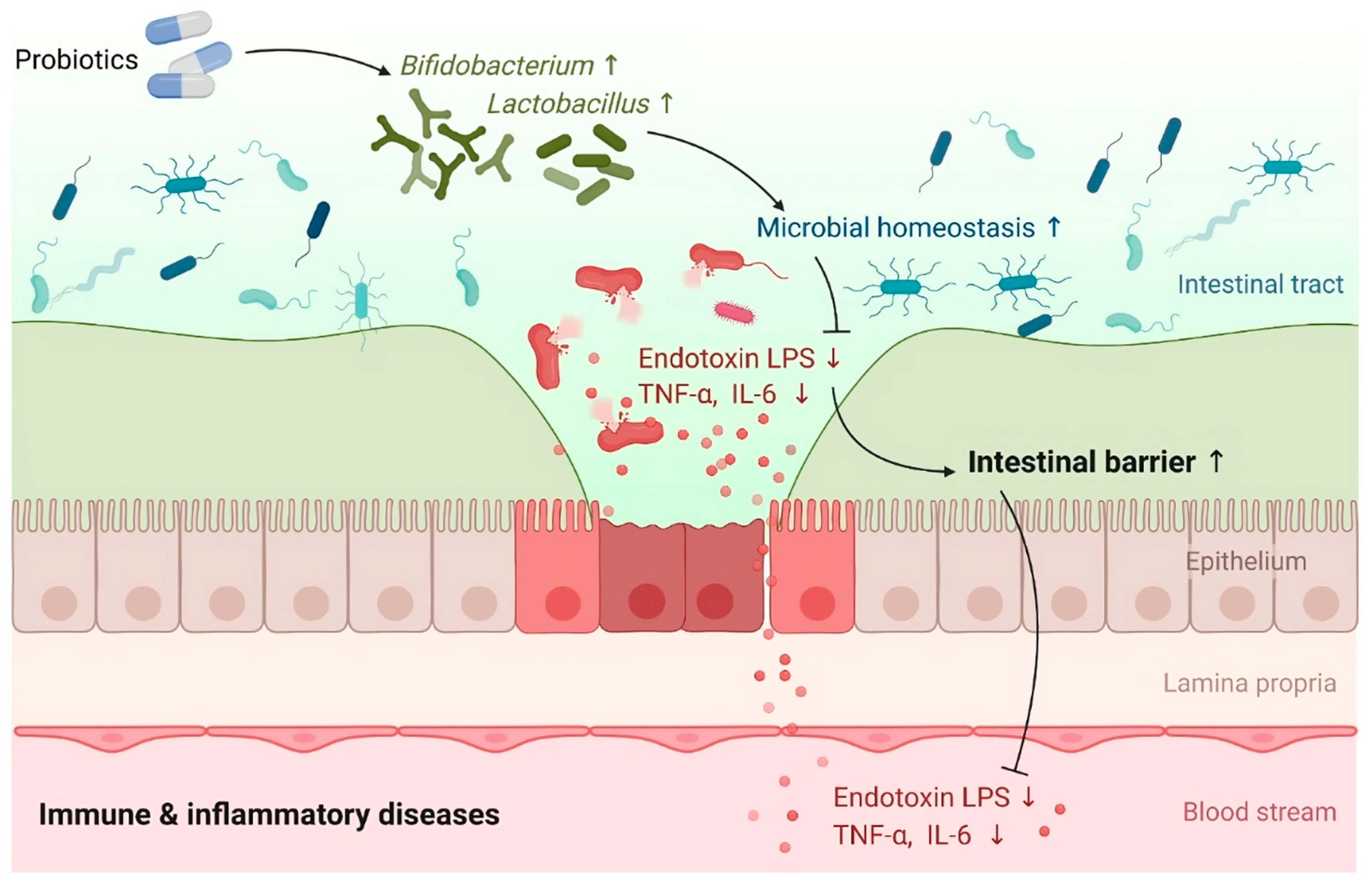 Immuno 04 00015 g004