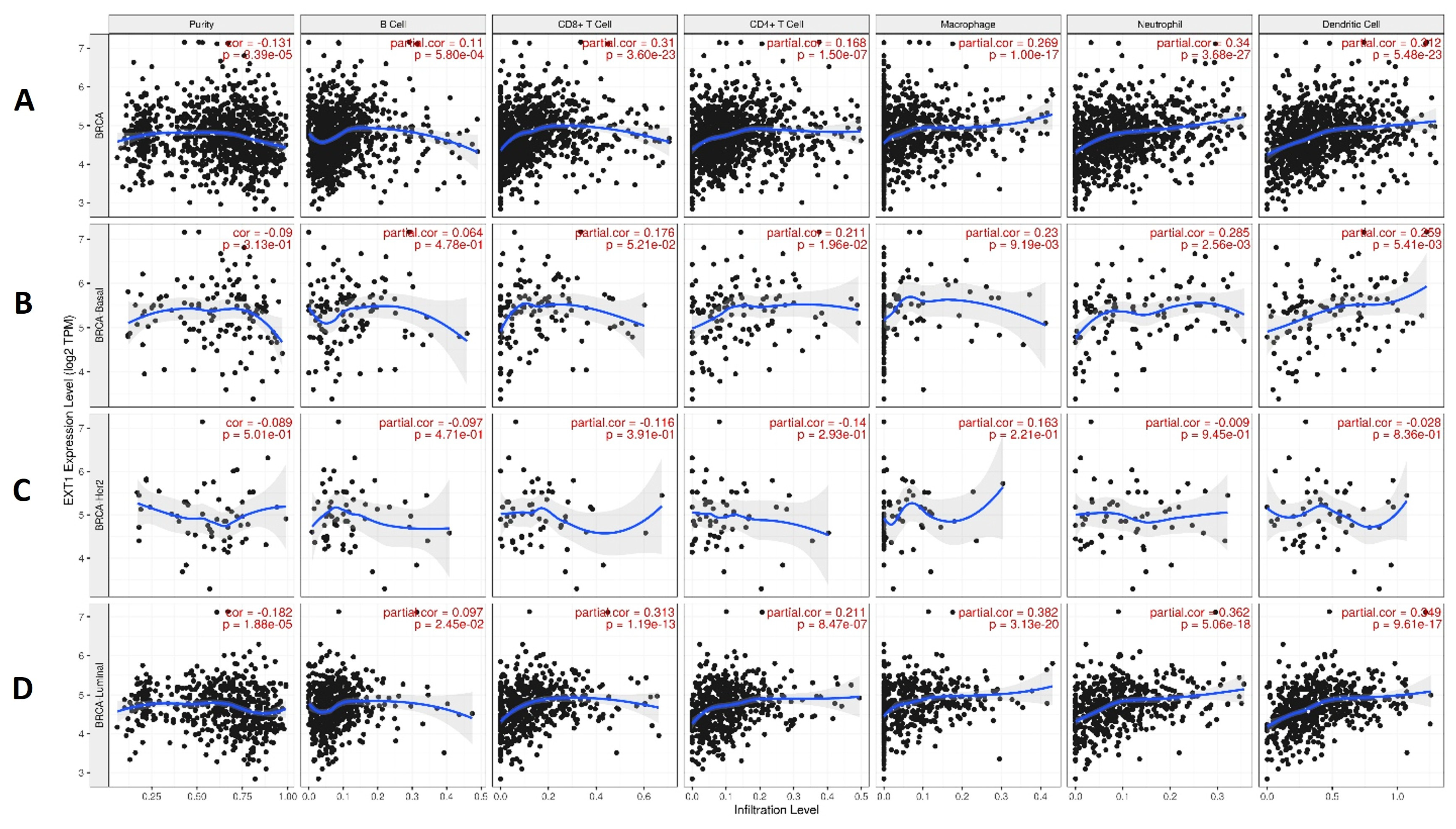 Immuno 05 00001 g005