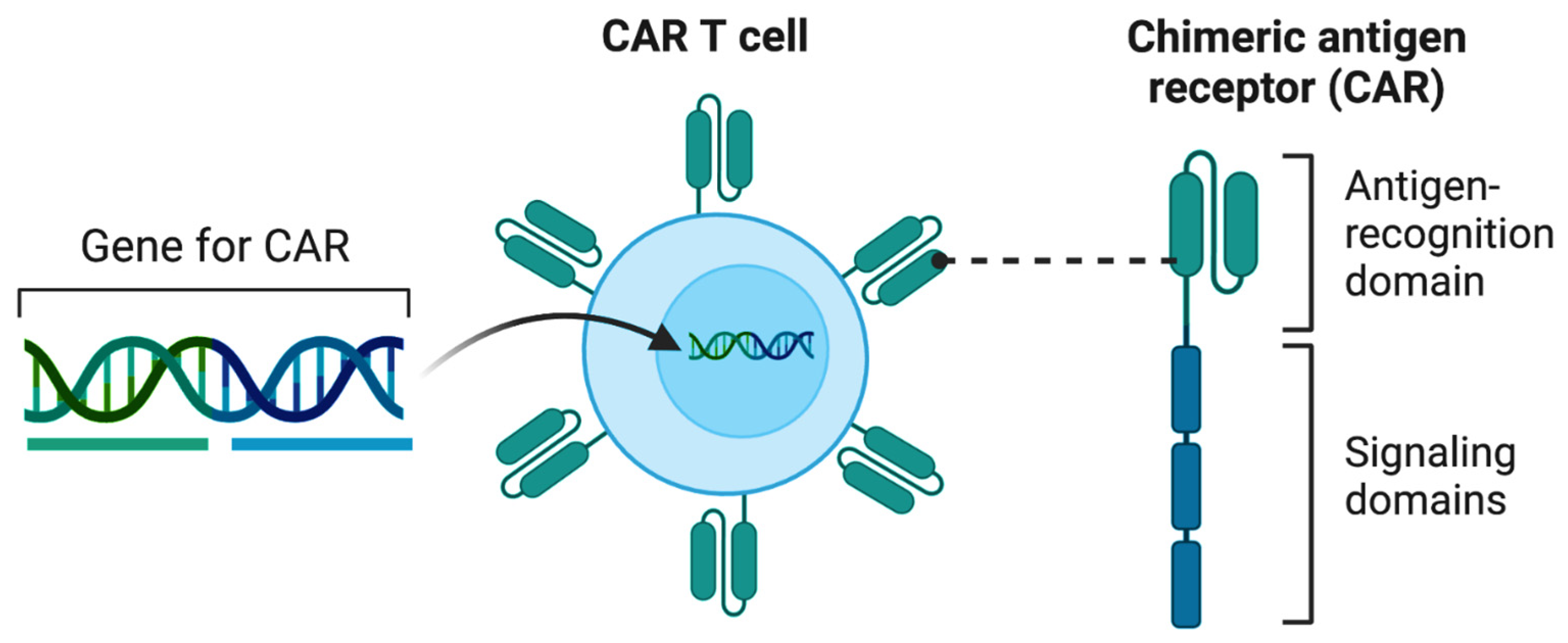 Immuno 05 00006 g001