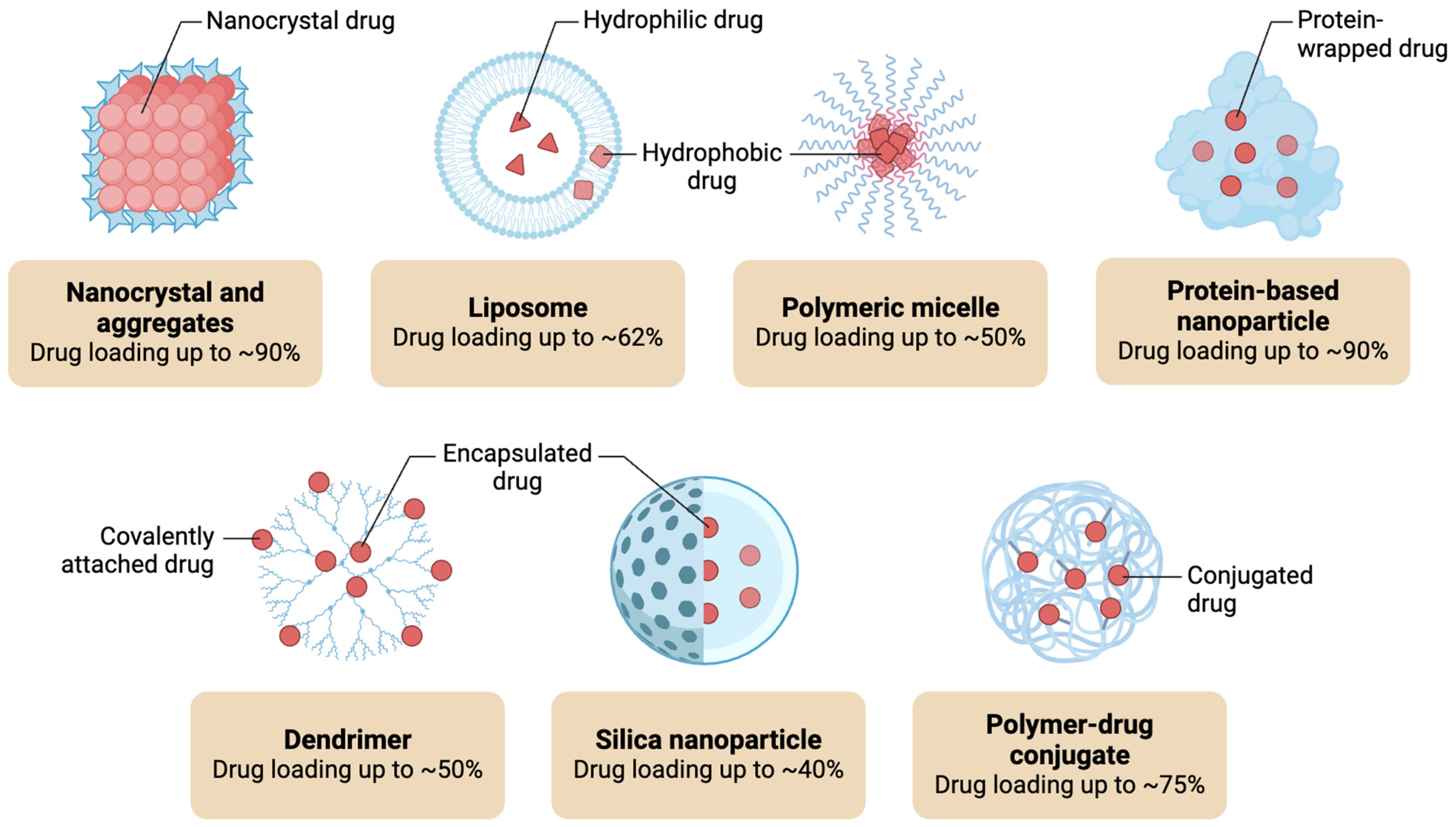 Immuno 05 00006 g002