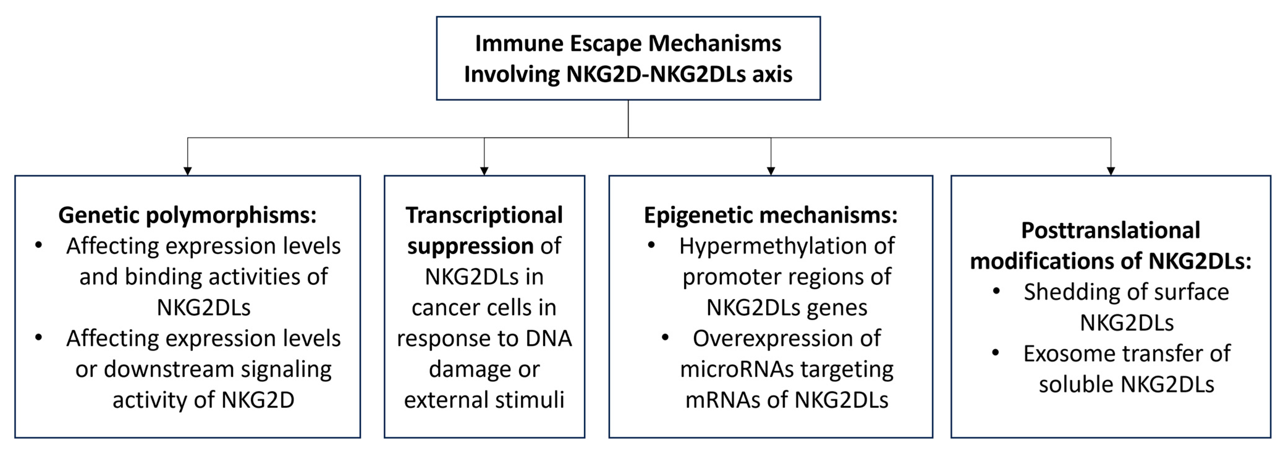 Immuno 05 00009 g003