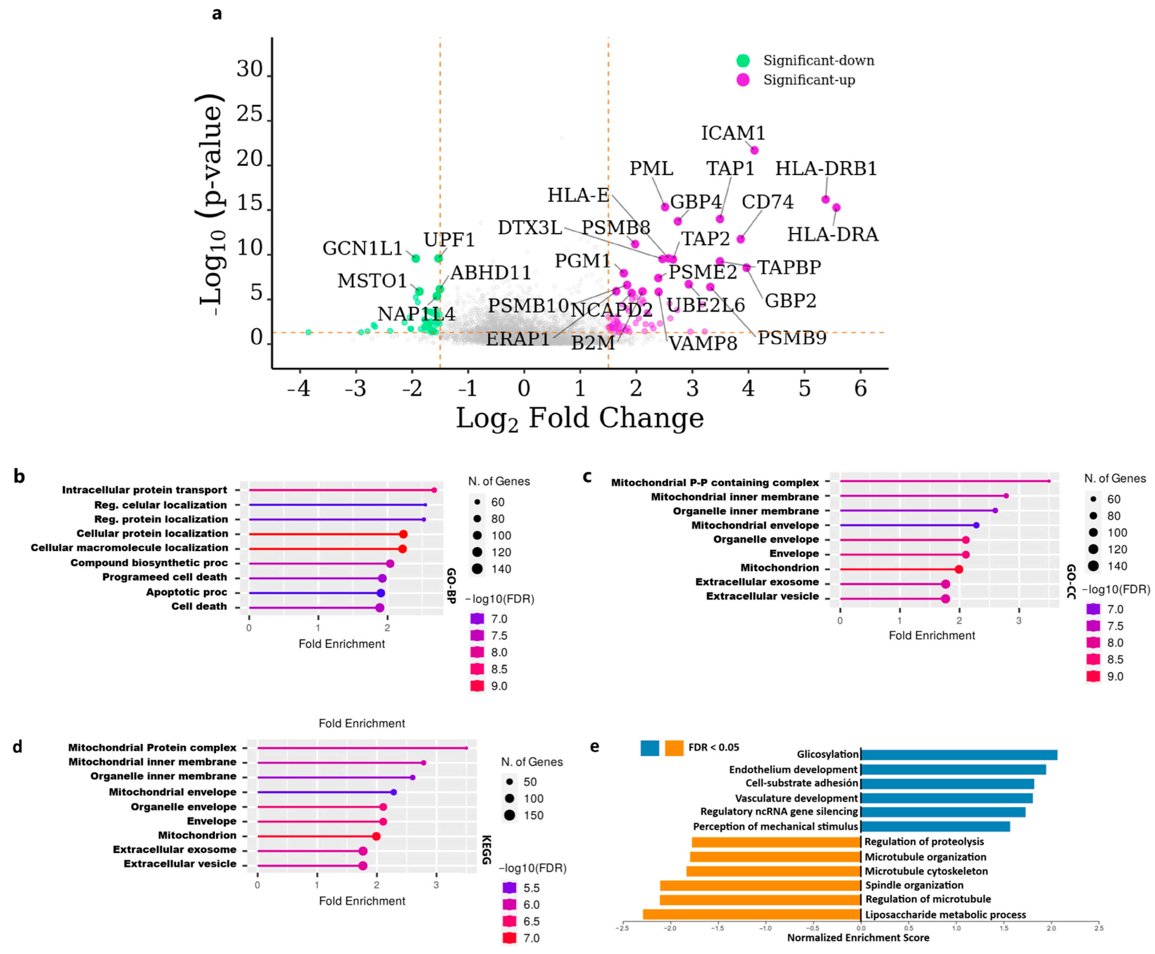 Immuno 05 00023 g002