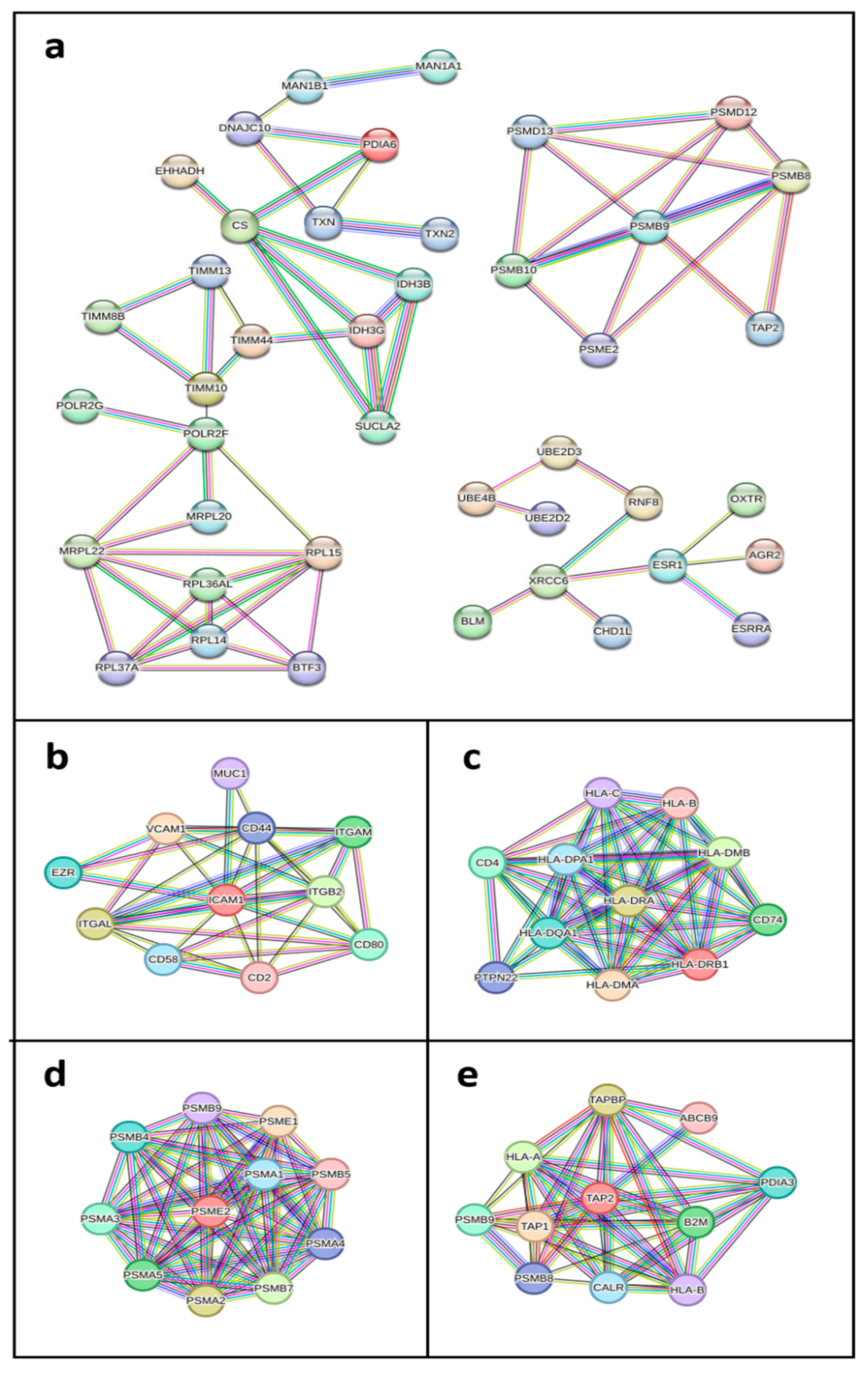 Immuno 05 00023 g003