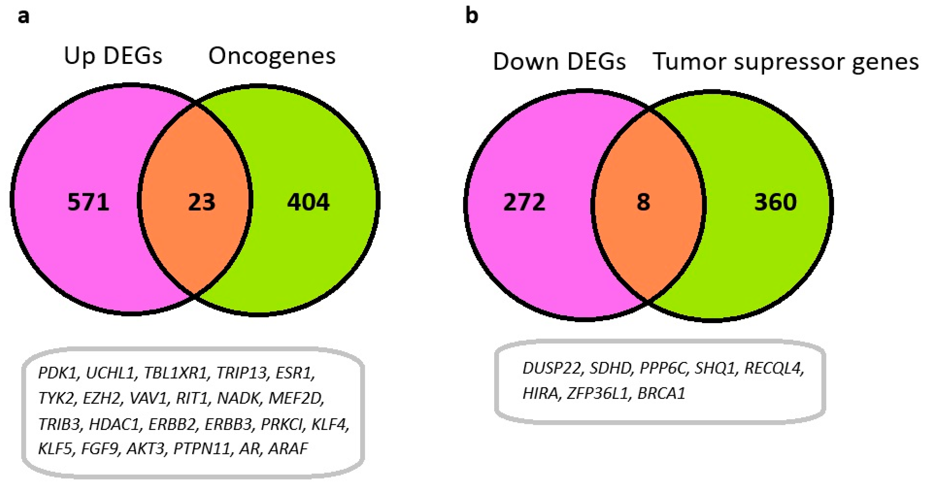 Immuno 05 00023 g004