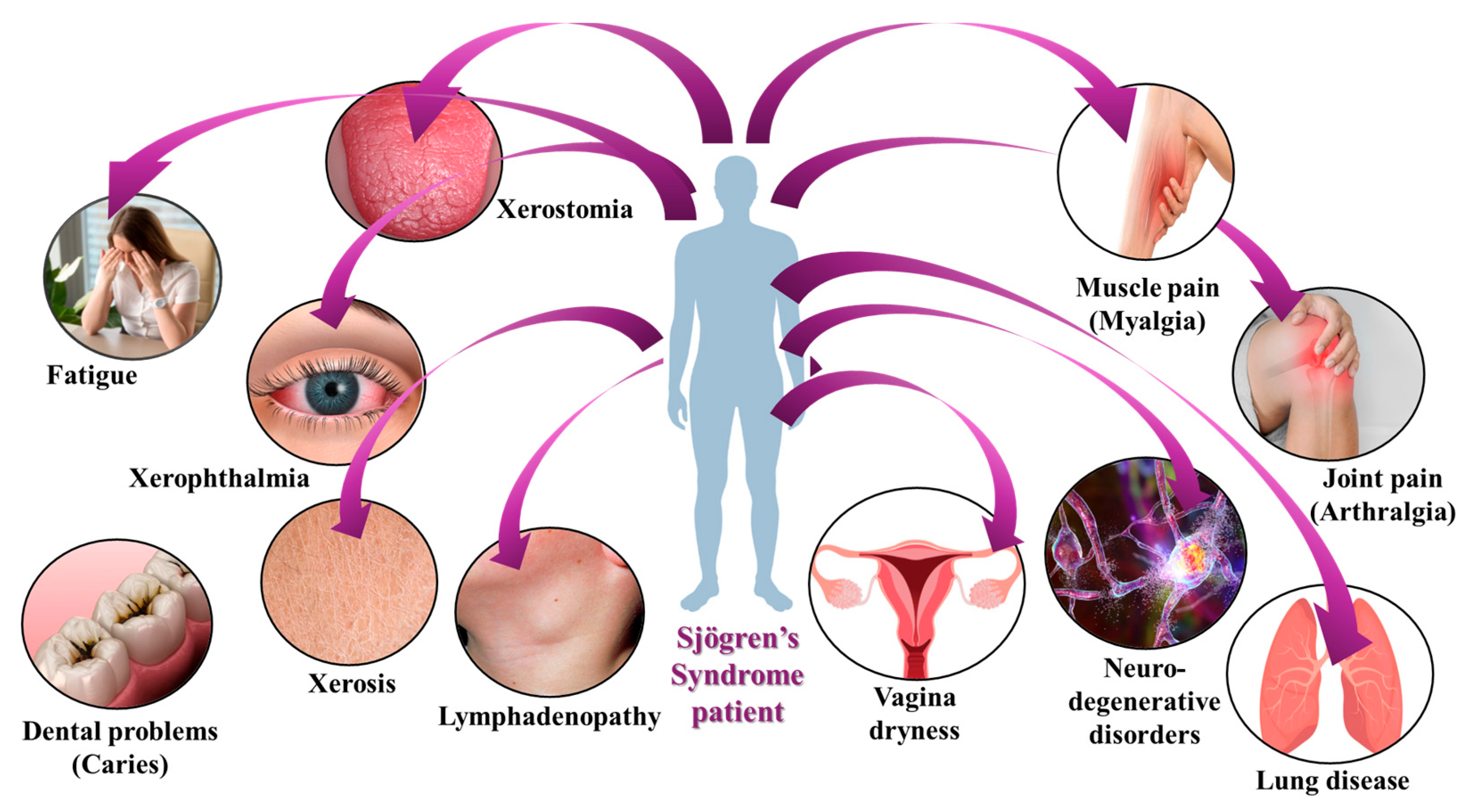 Immuno 05 00024 g005