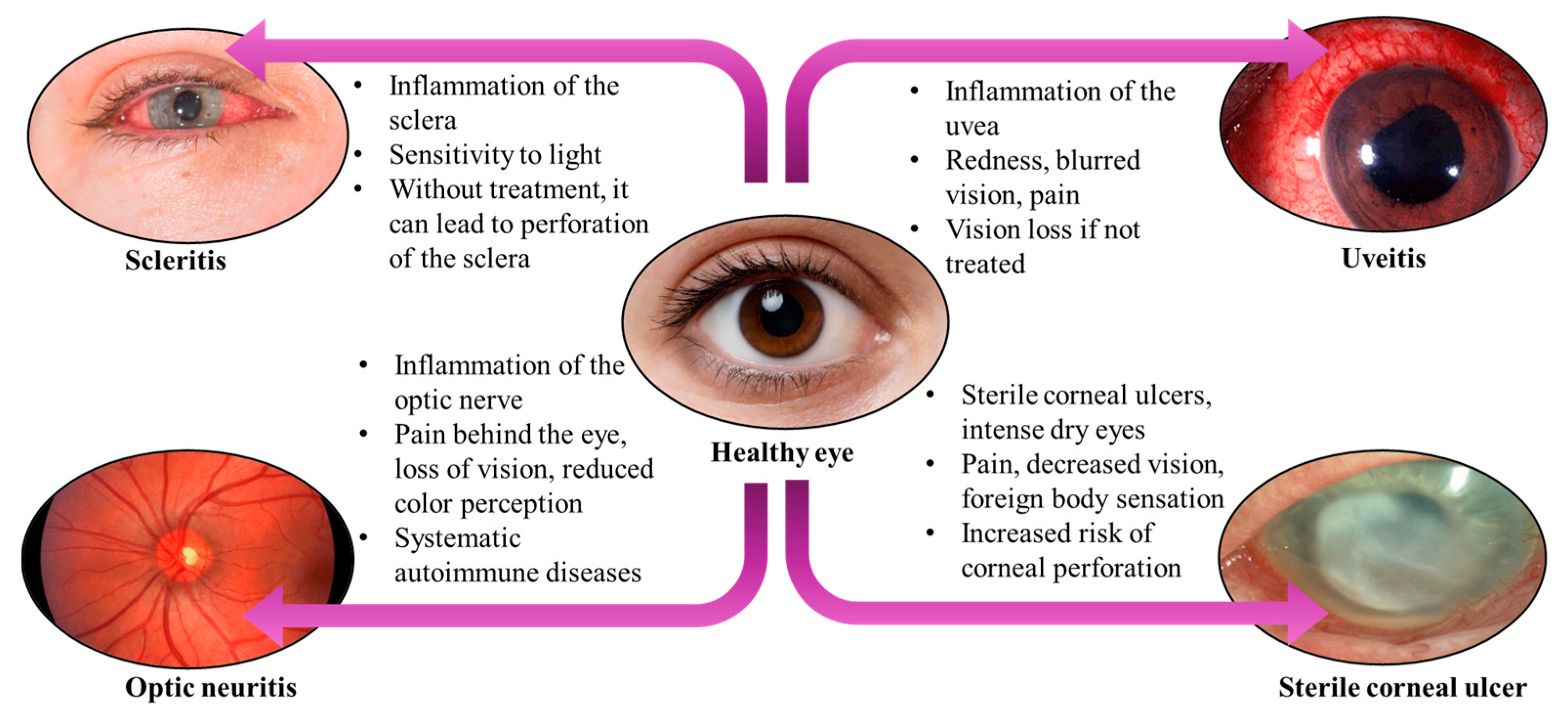 Immuno 05 00024 g006