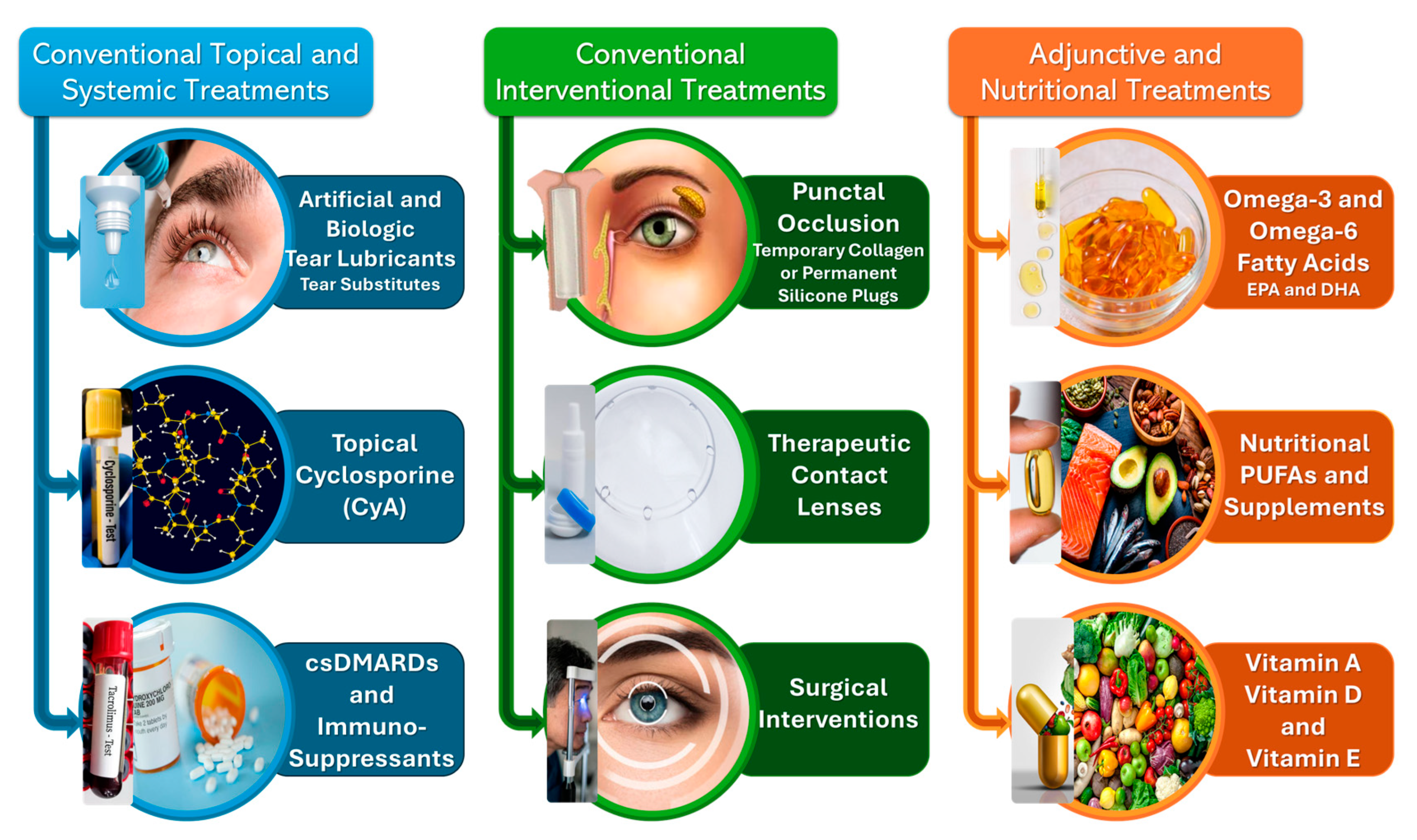 Immuno 05 00024 g007