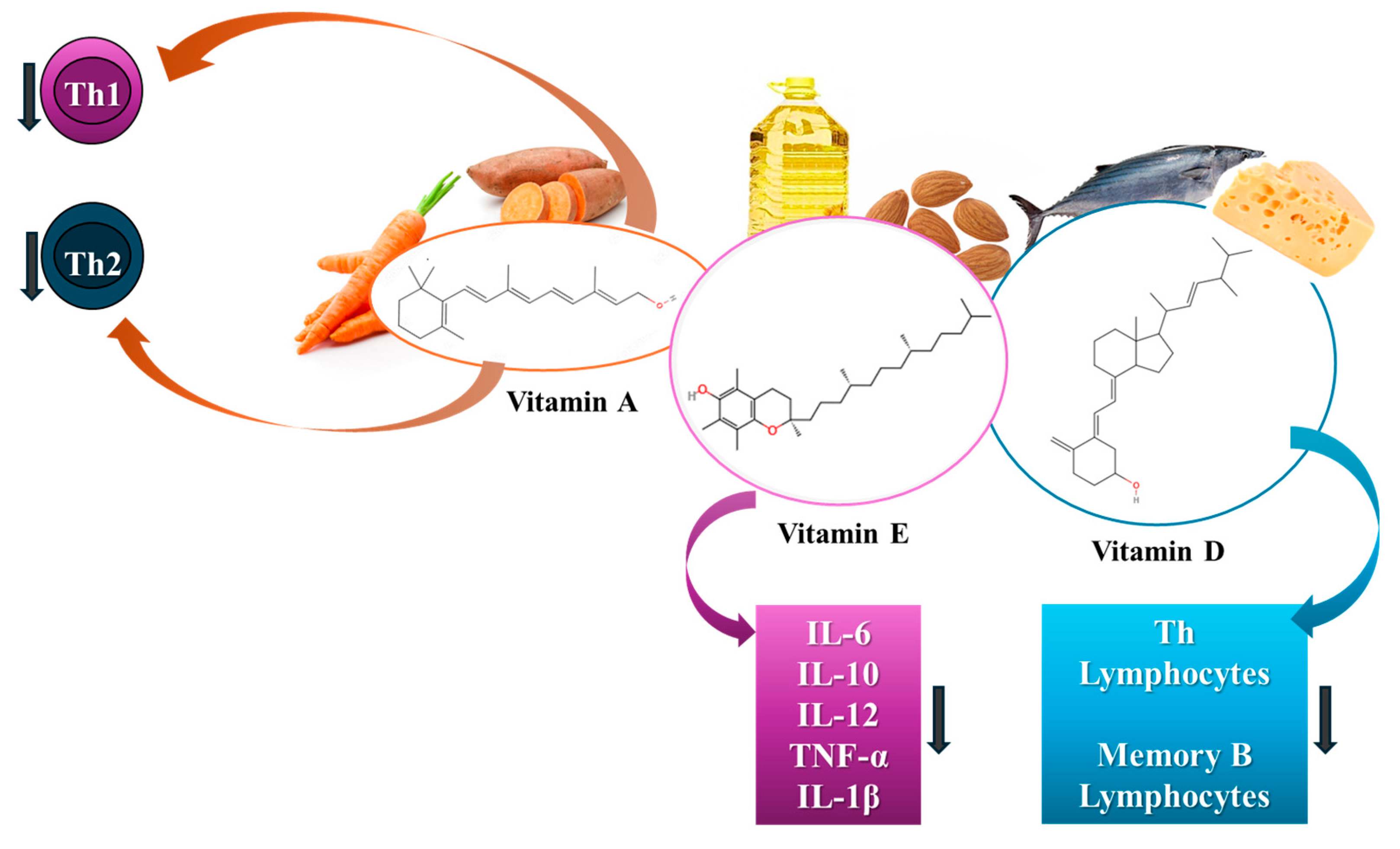 Immuno 05 00024 g008