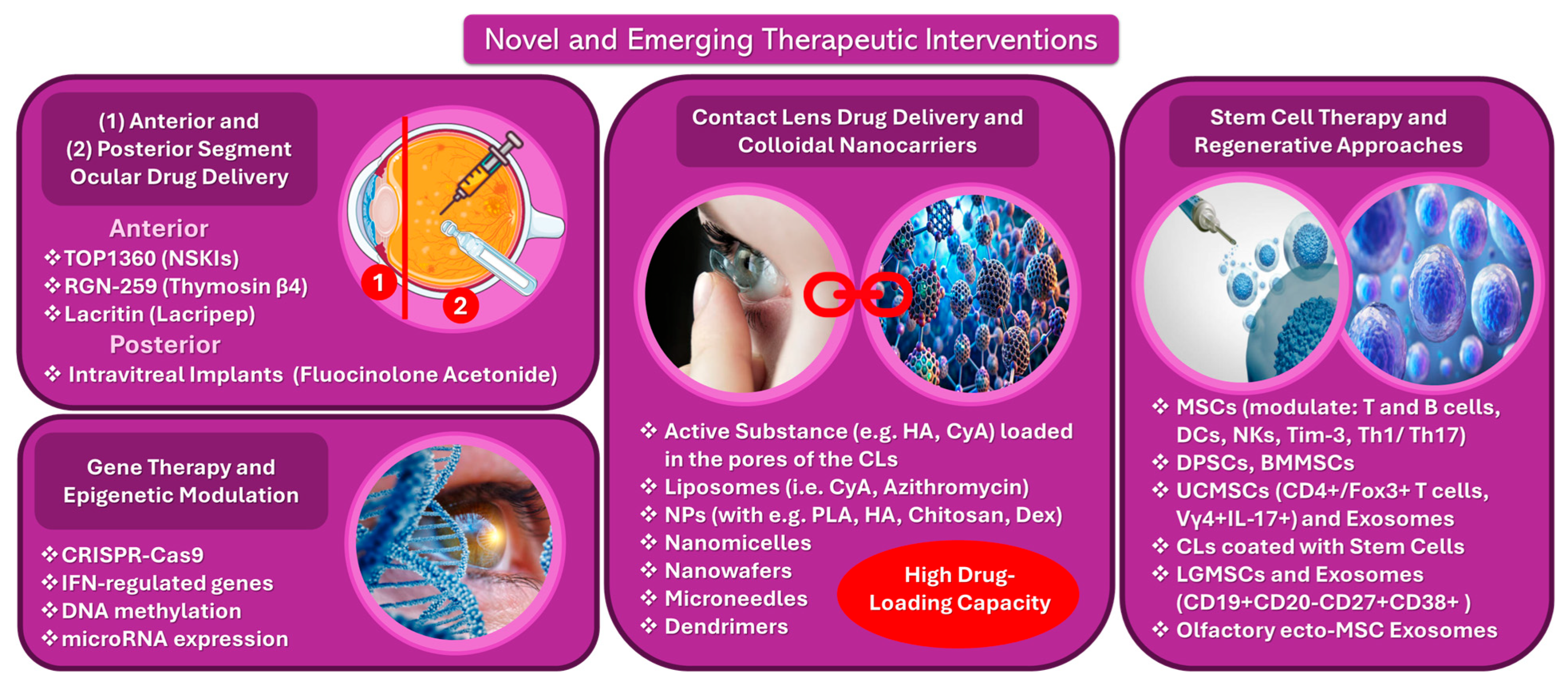Immuno 05 00024 g010