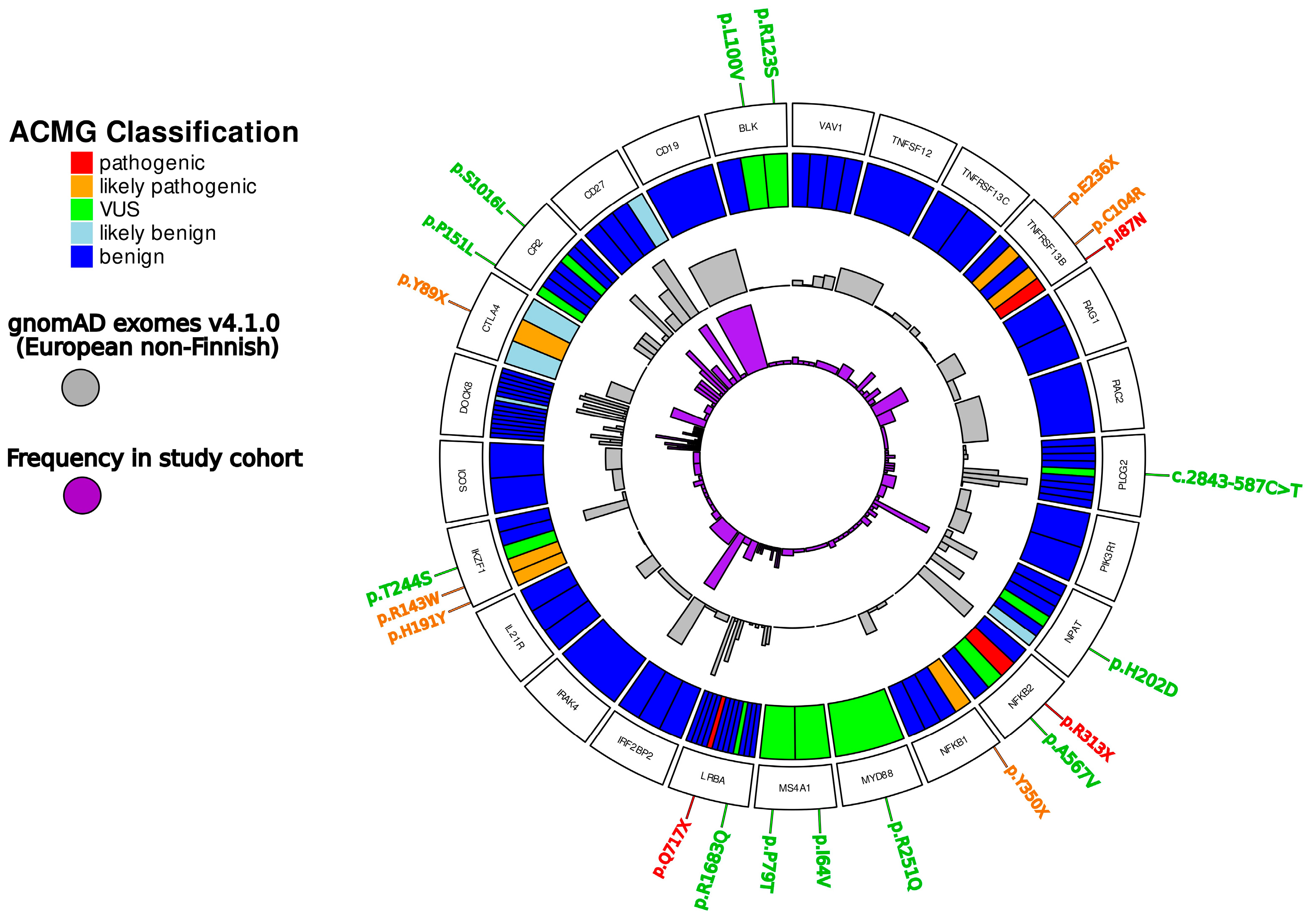 Immuno 05 00027 g001
