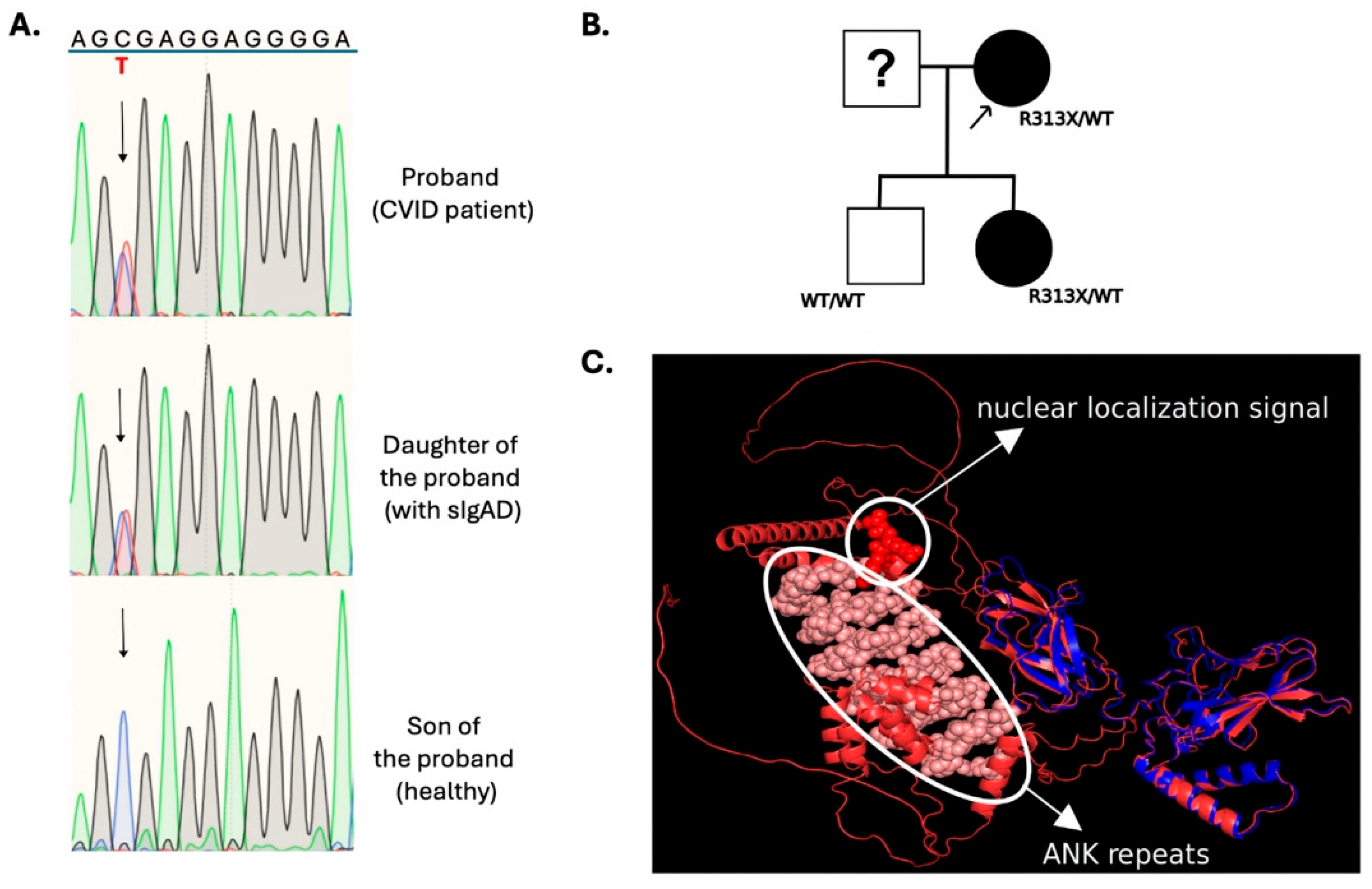 Immuno 05 00027 g003