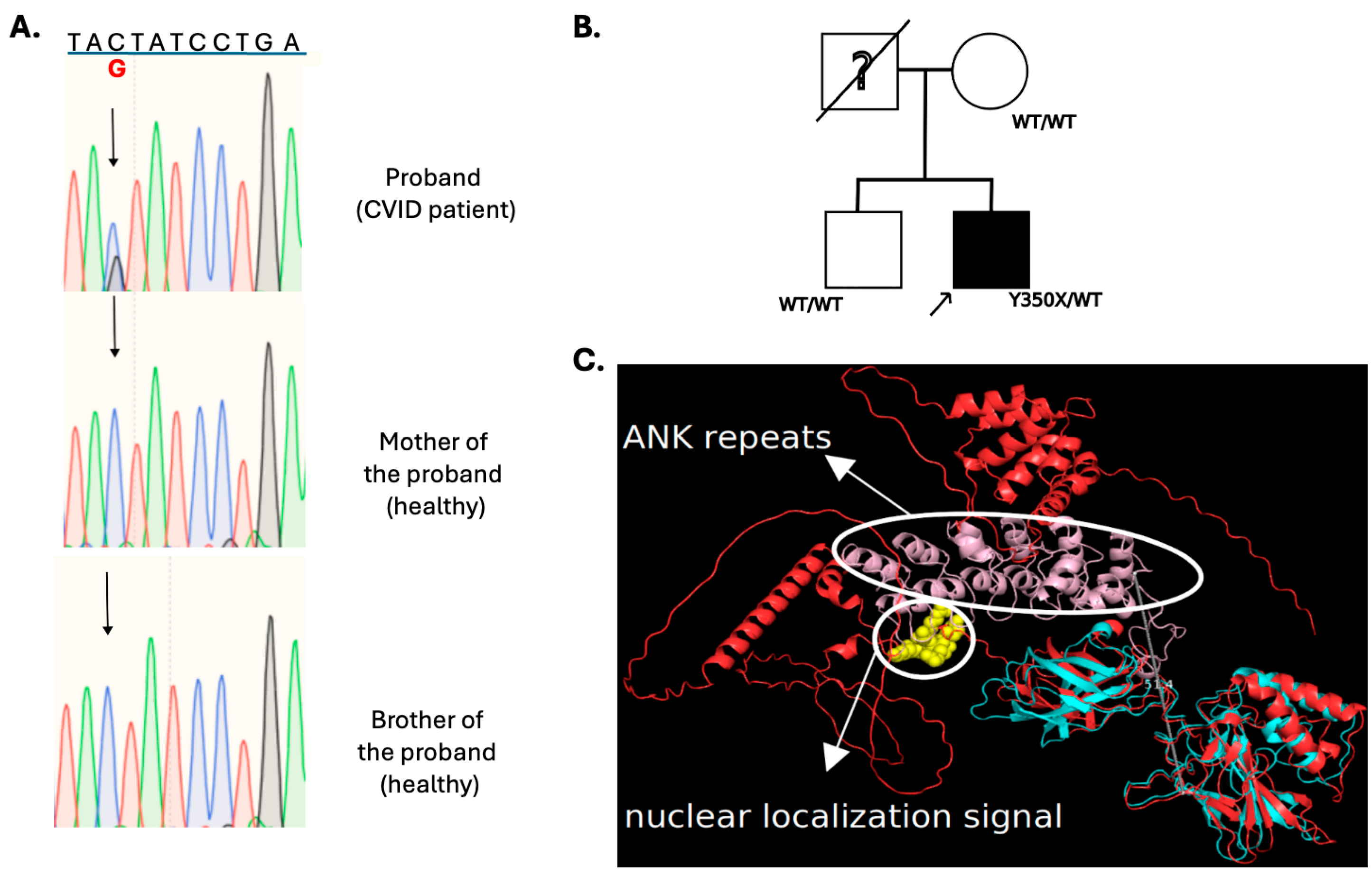 Immuno 05 00027 g004