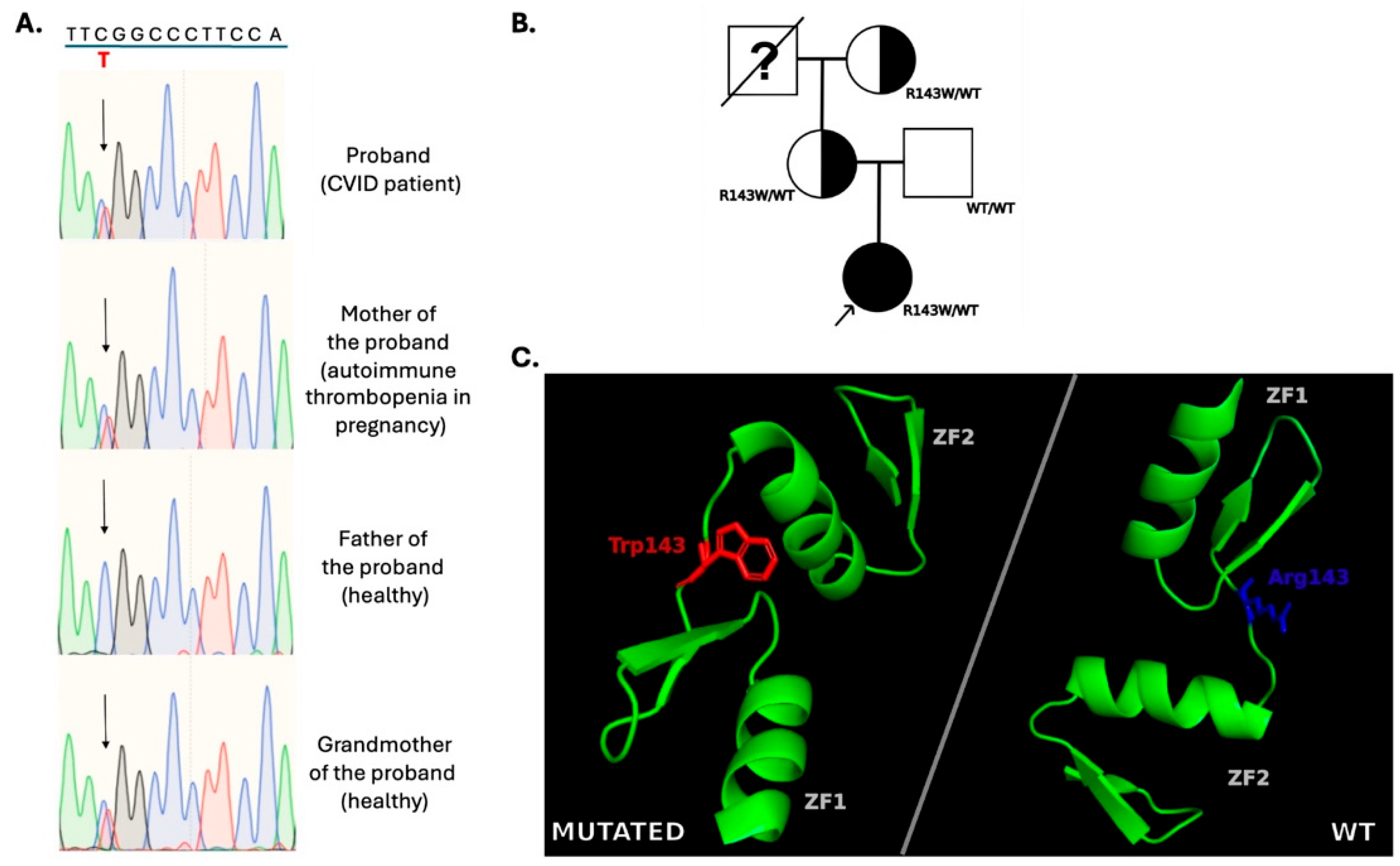 Immuno 05 00027 g005