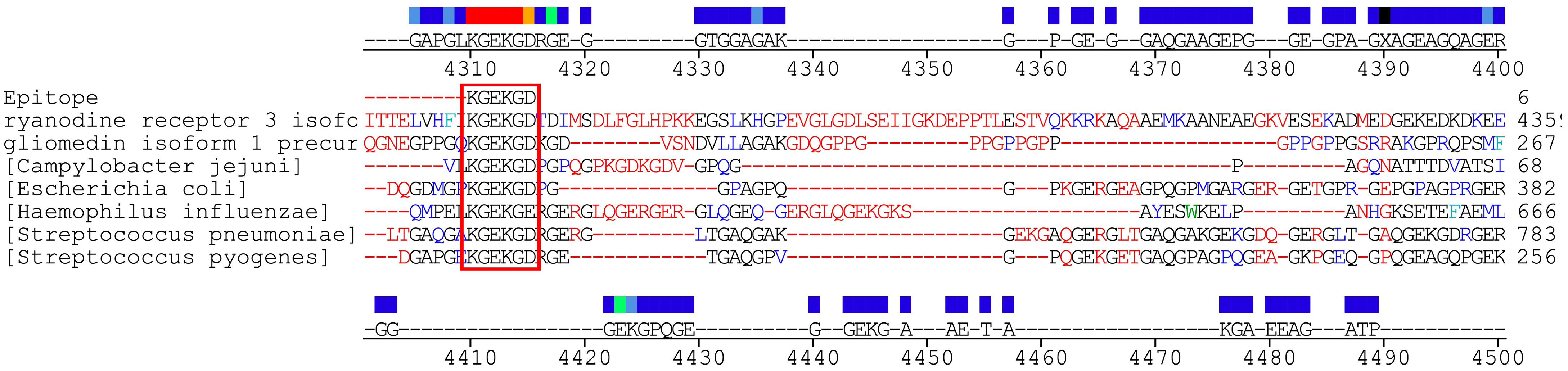 Immuno 05 00028 g001