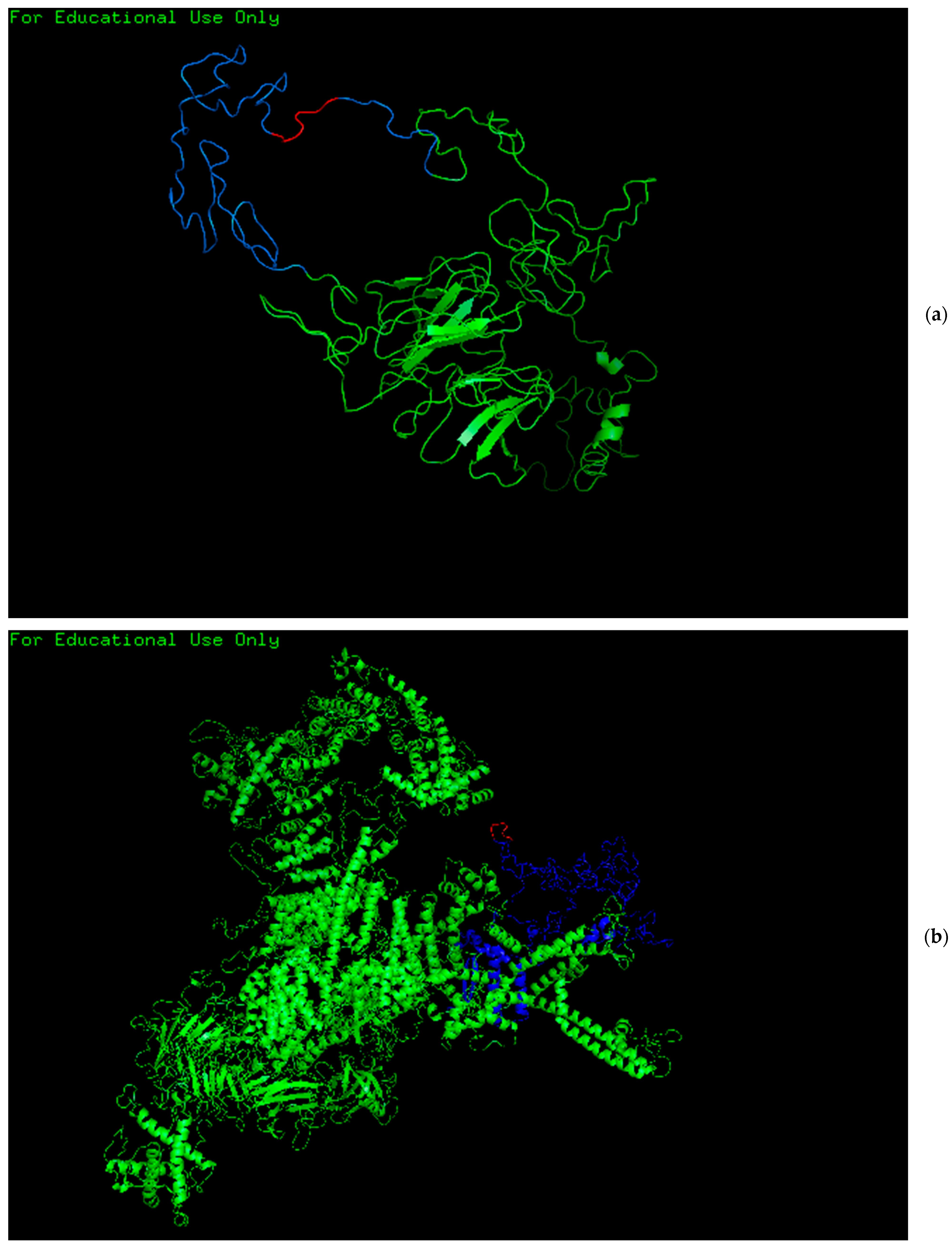 Immuno 05 00028 g002