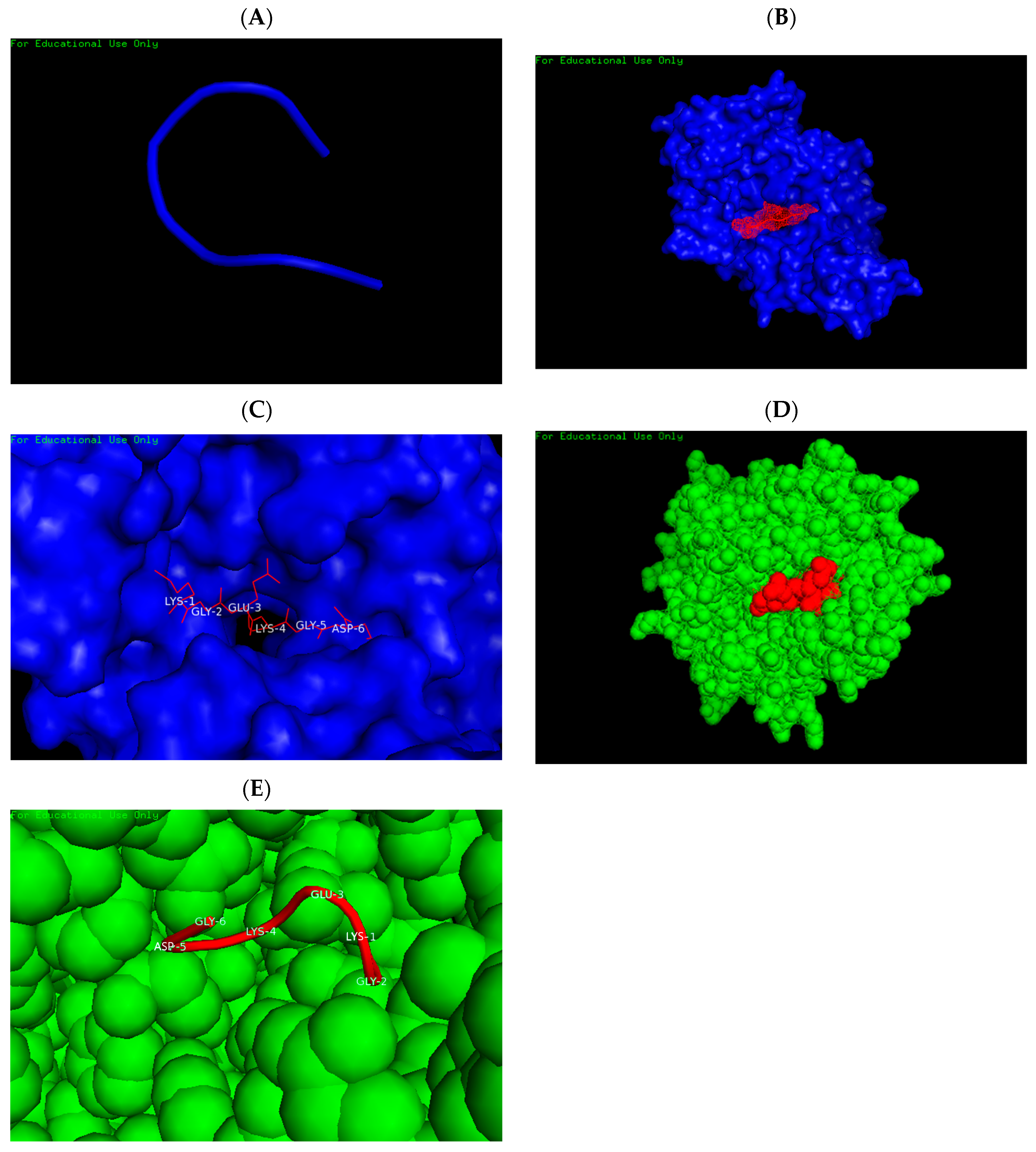 Immuno 05 00028 g003