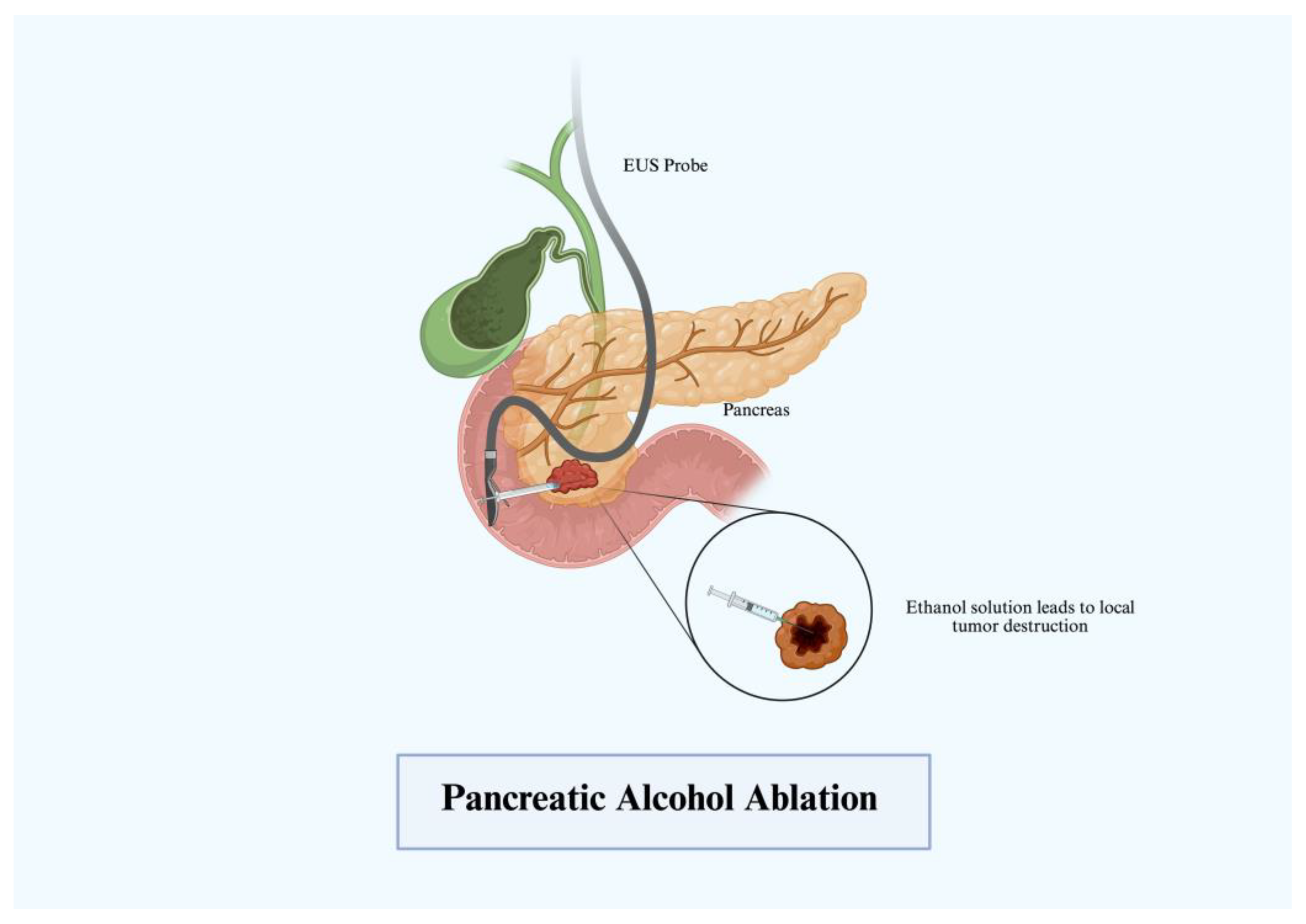 Immuno 05 00030 g001