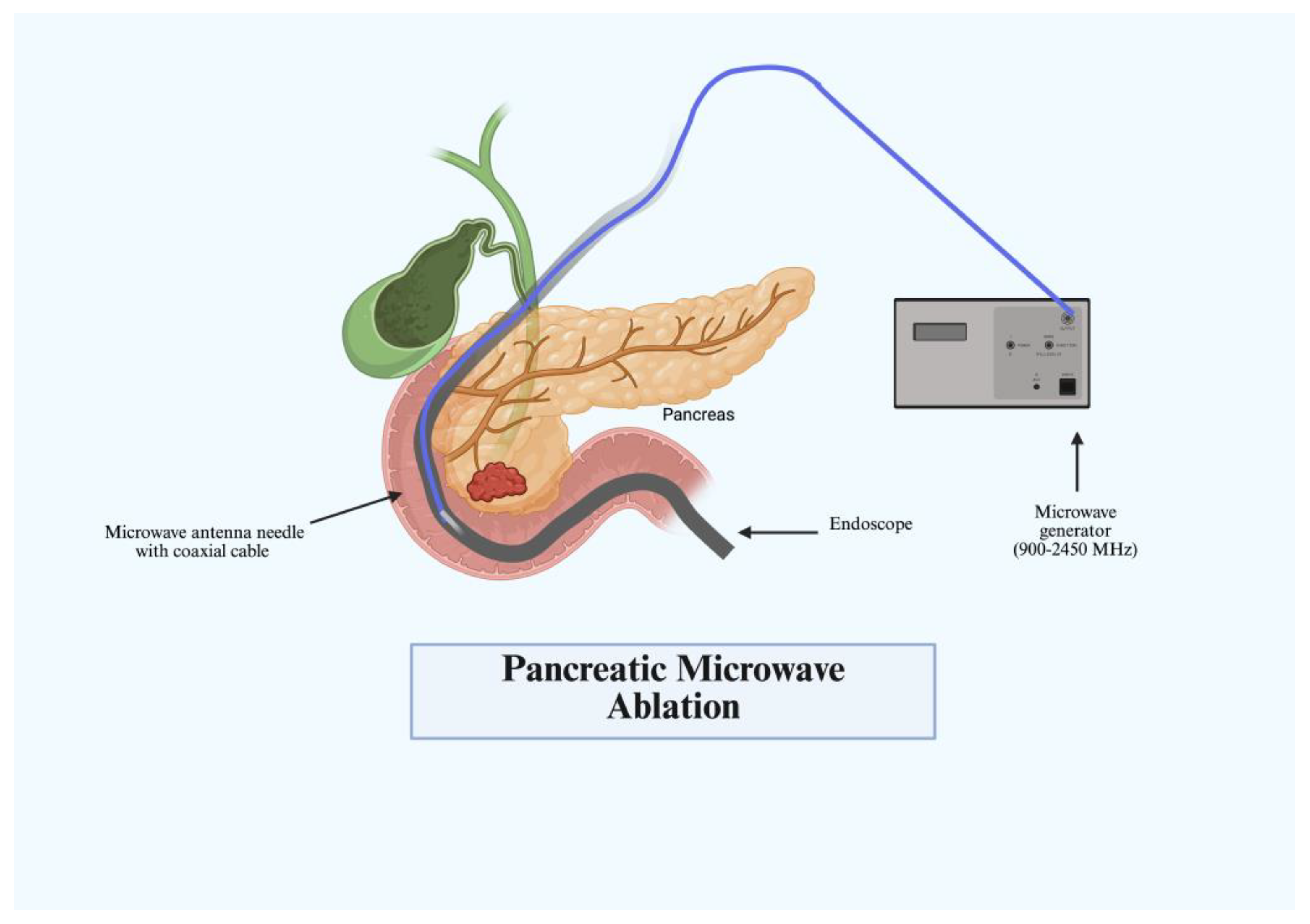 Immuno 05 00030 g002