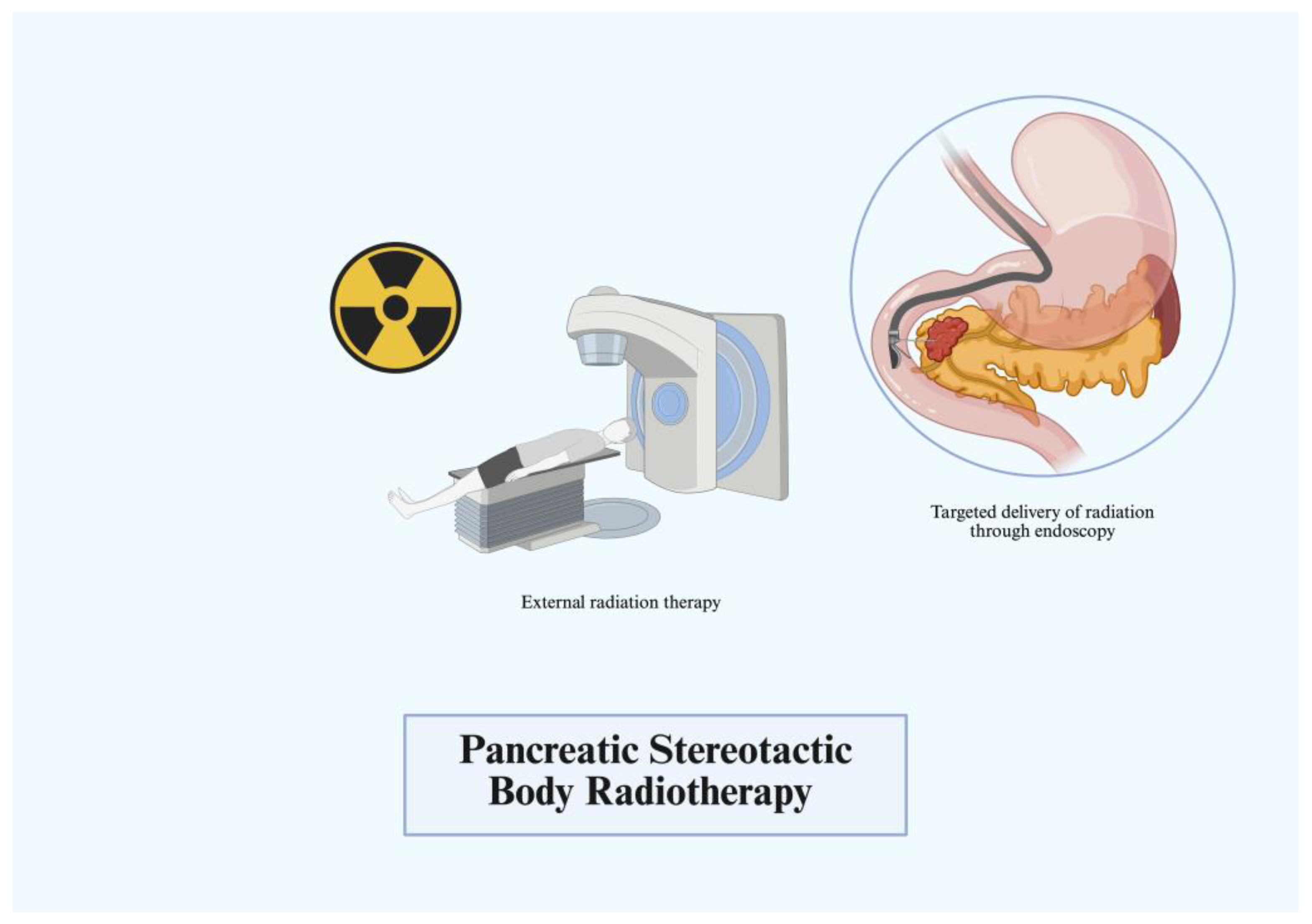 Immuno 05 00030 g003