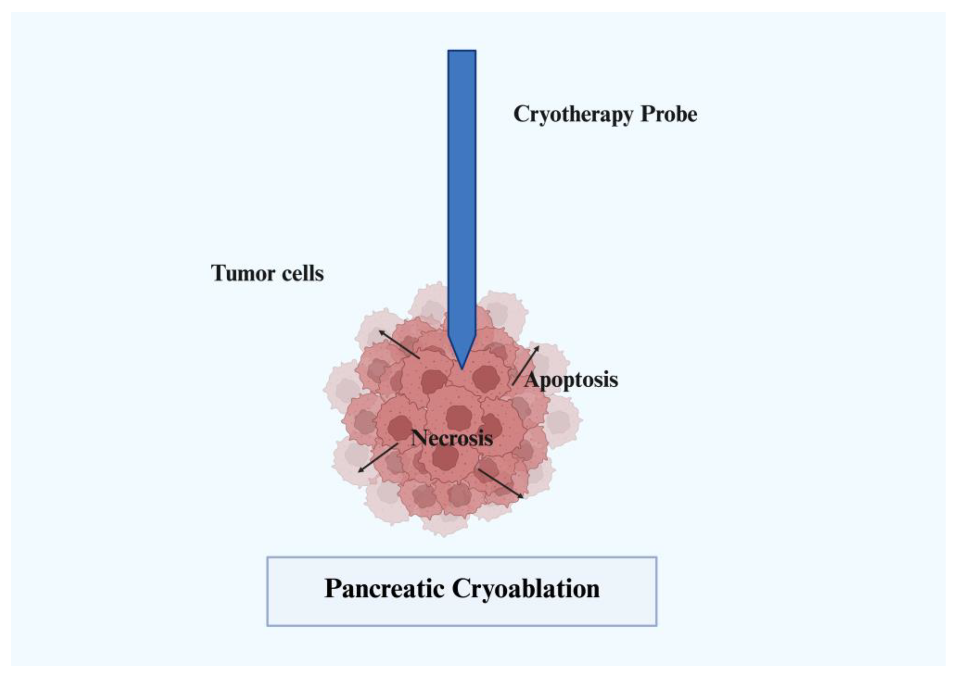 Immuno 05 00030 g004