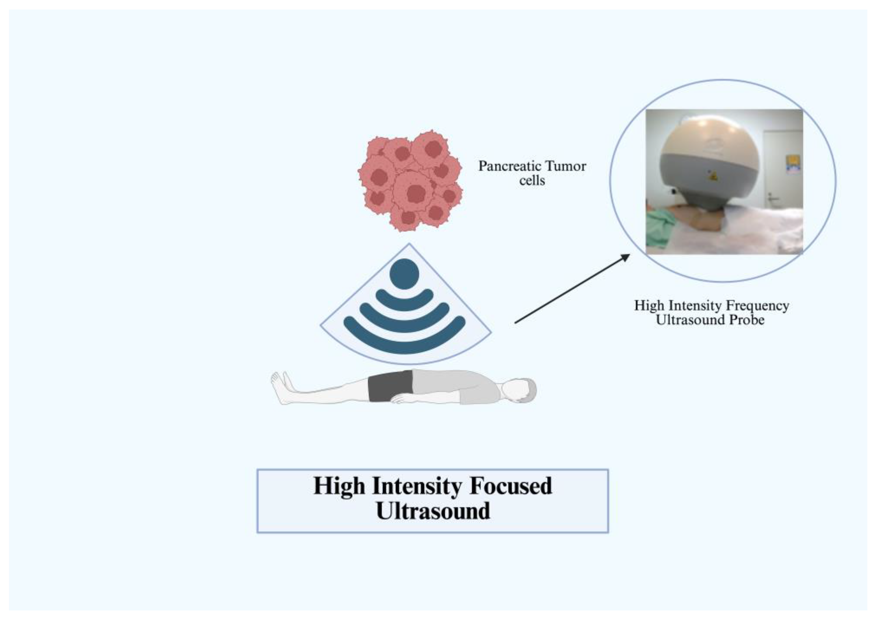 Immuno 05 00030 g005