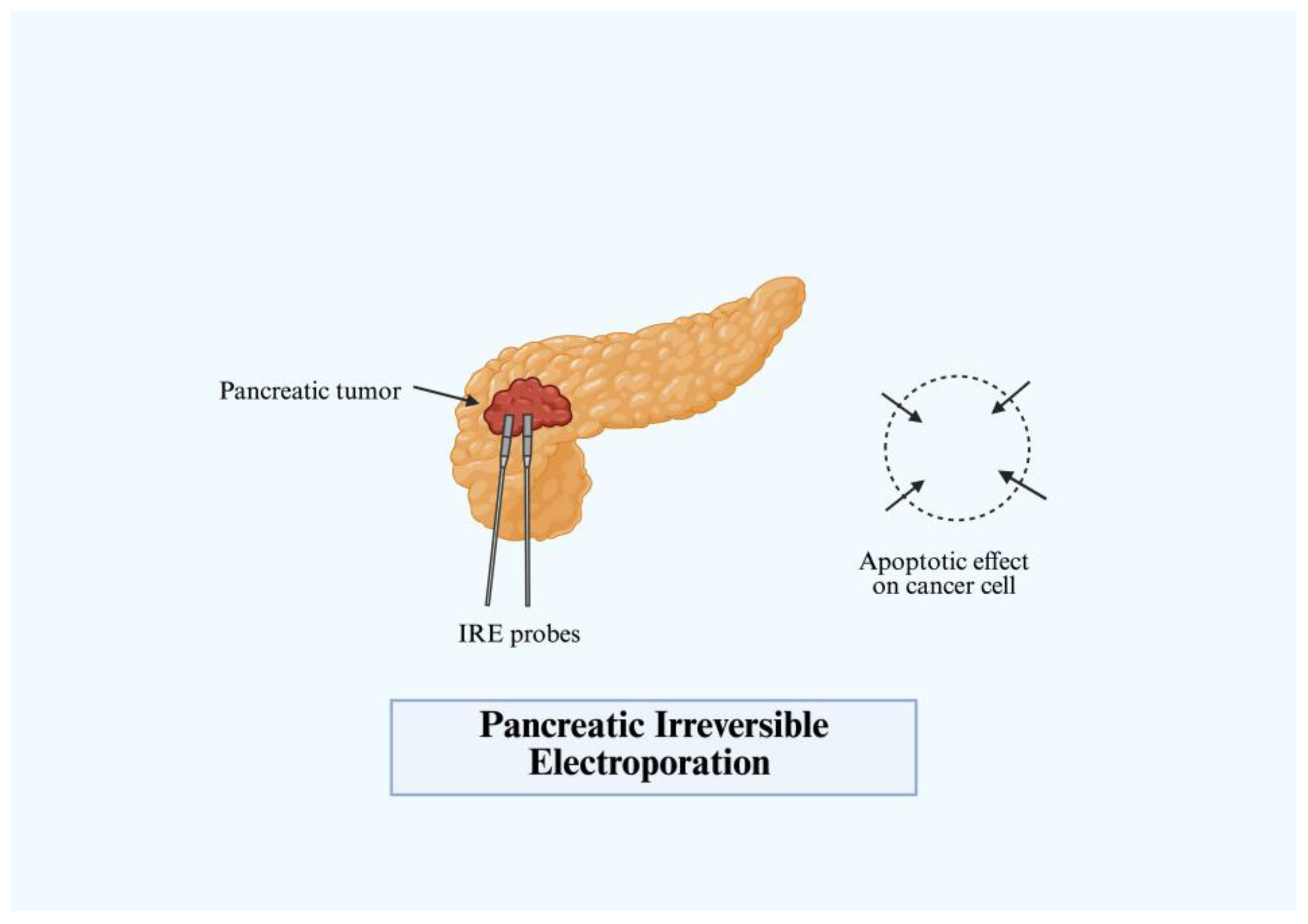 Immuno 05 00030 g006