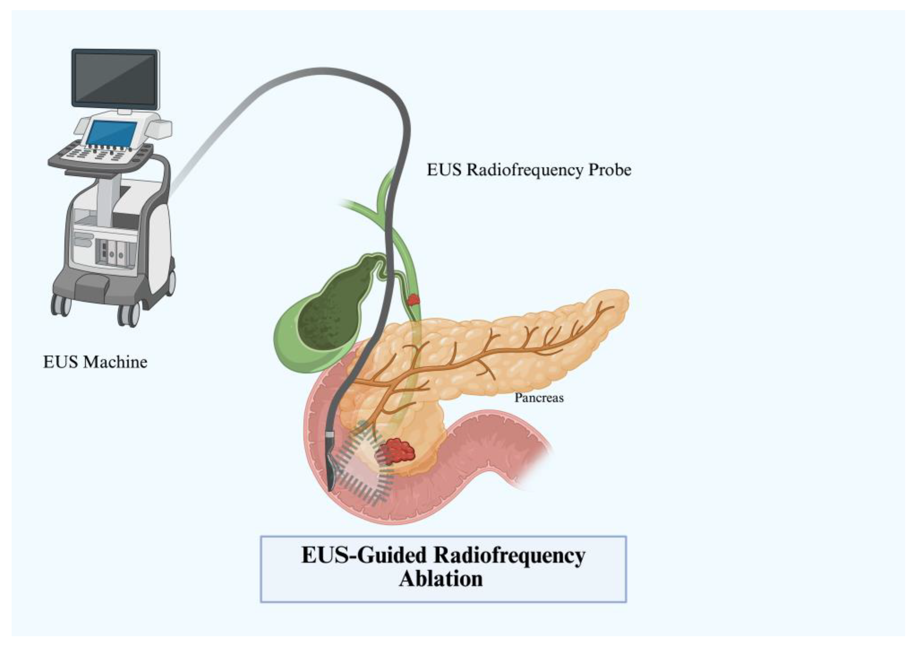 Immuno 05 00030 g007