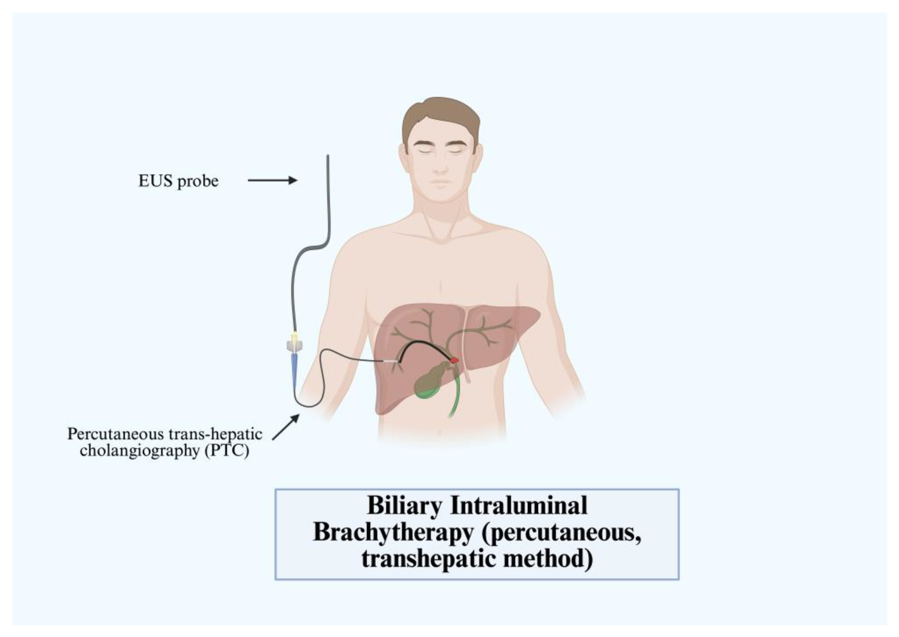 Immuno 05 00030 g008